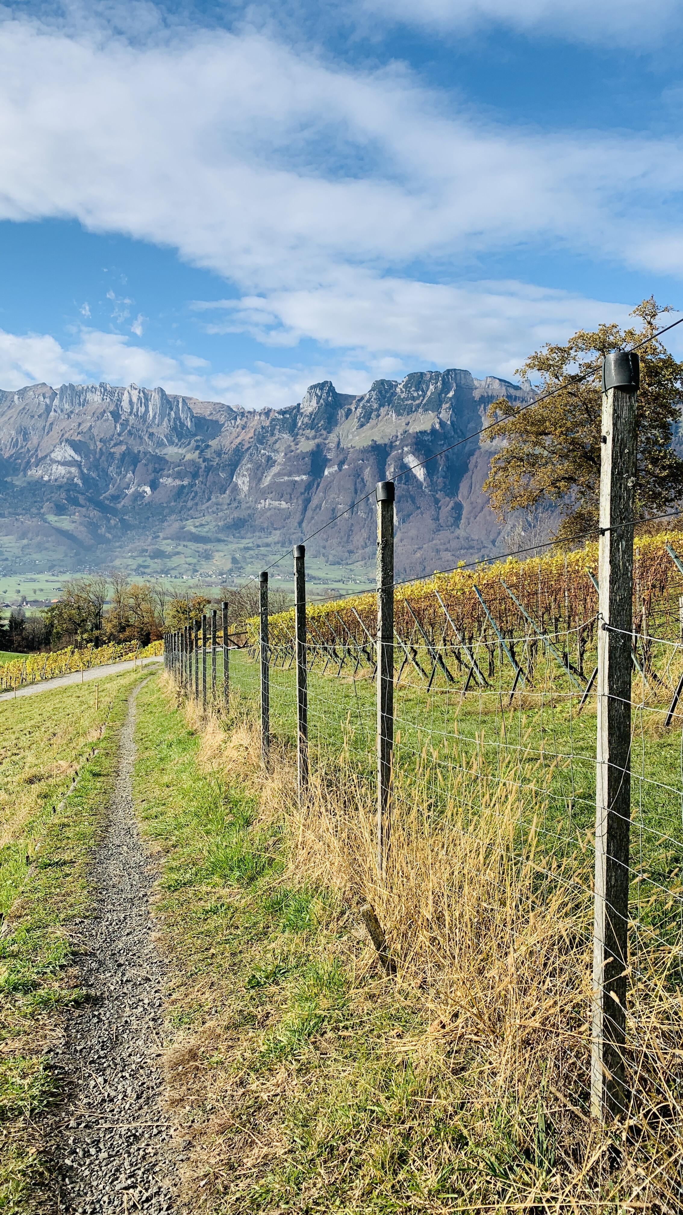 Bild ohne Beschreibung Bild ohne Beschreibung