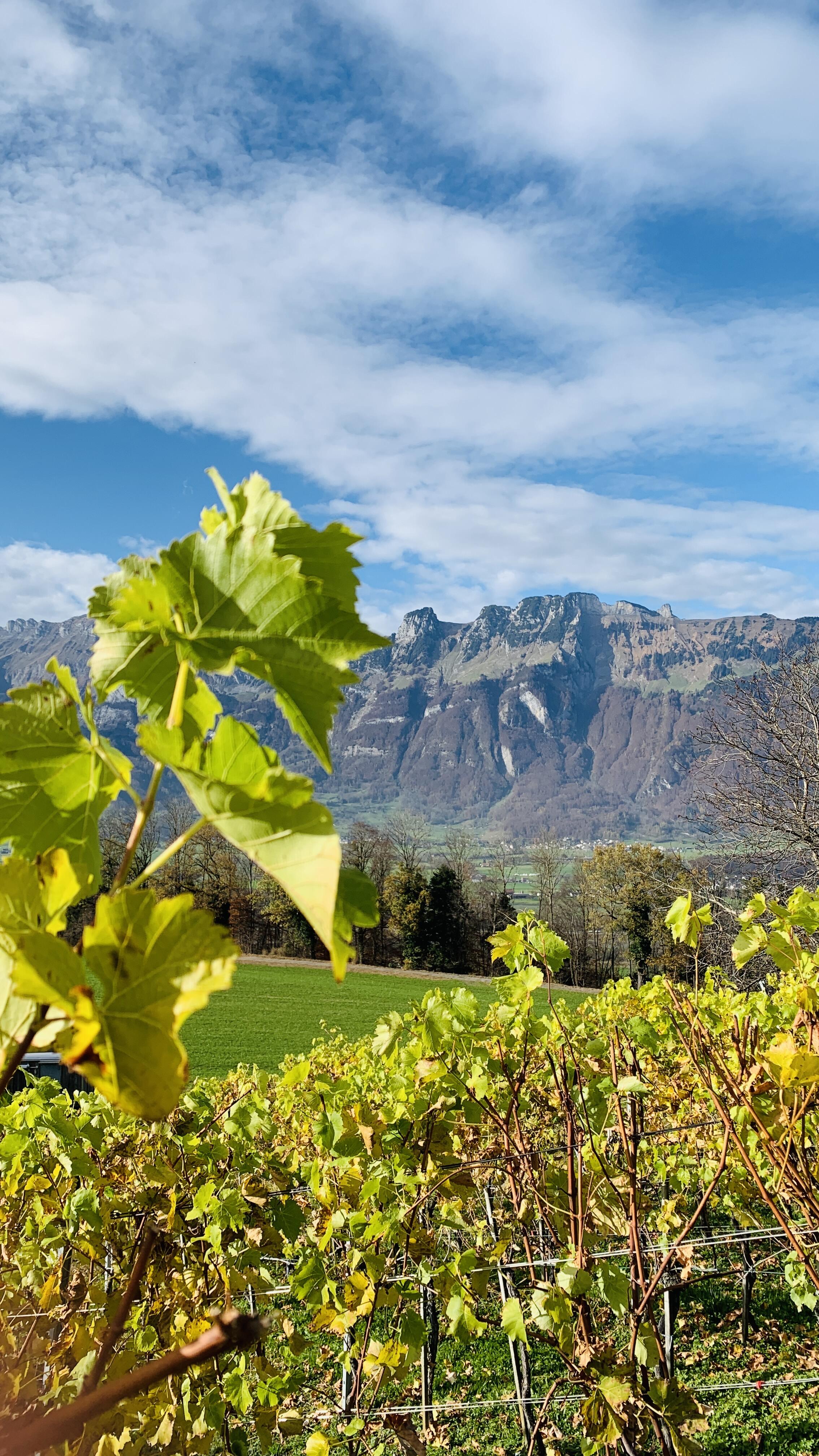 Bild ohne Beschreibung Bild ohne Beschreibung