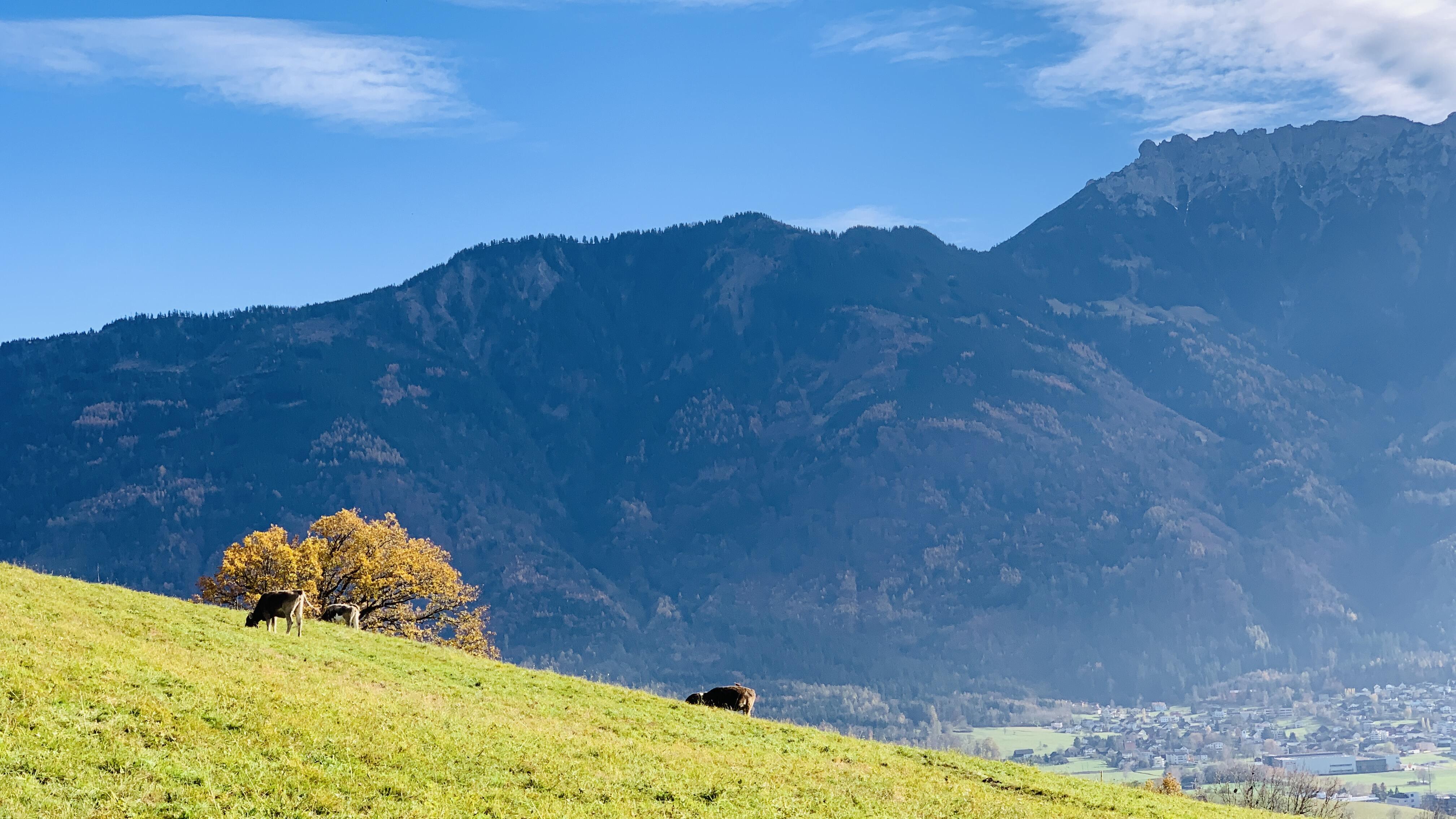 Bild ohne Beschreibung Bild ohne Beschreibung