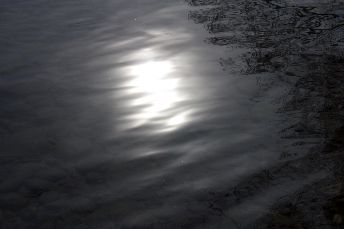 Bild ohne Beschreibung