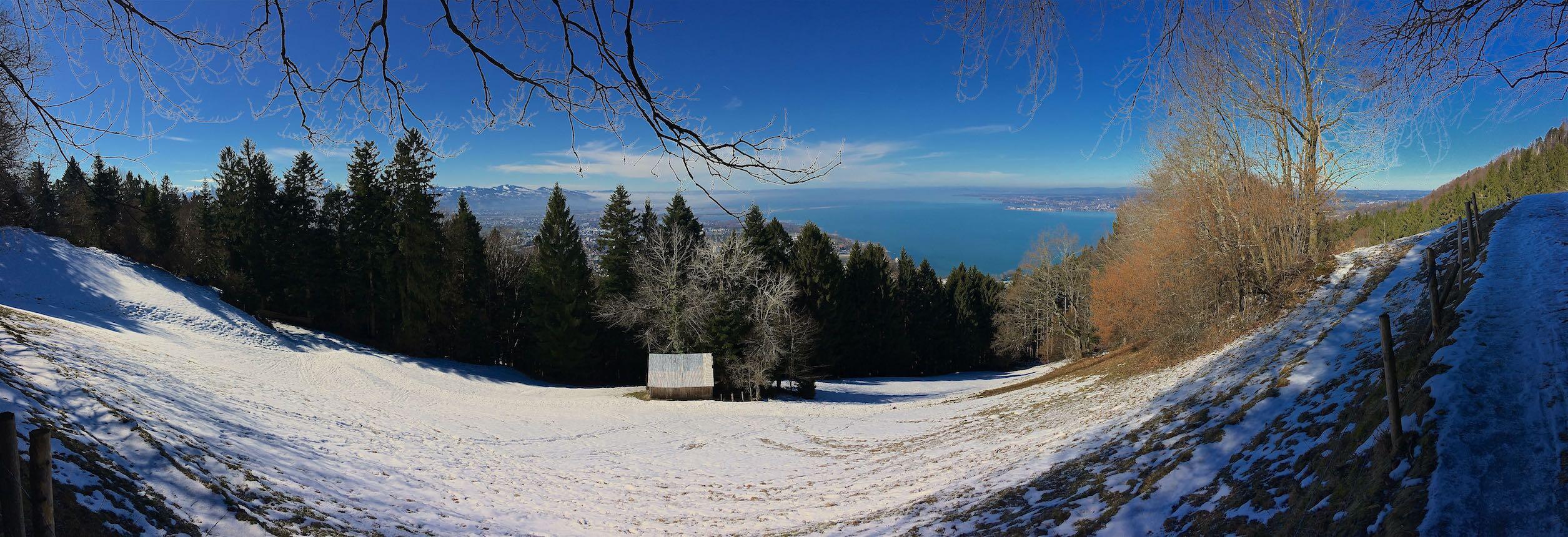 Bild ohne Beschreibung