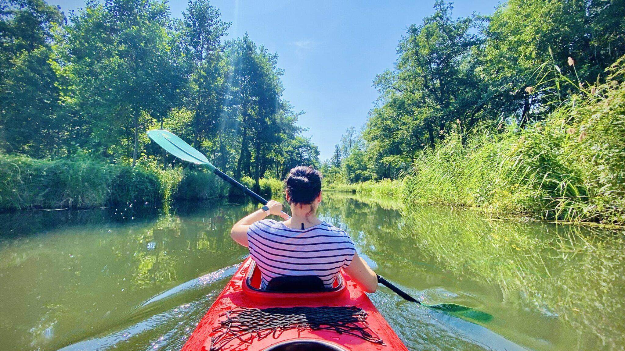 Bild ohne Beschreibung