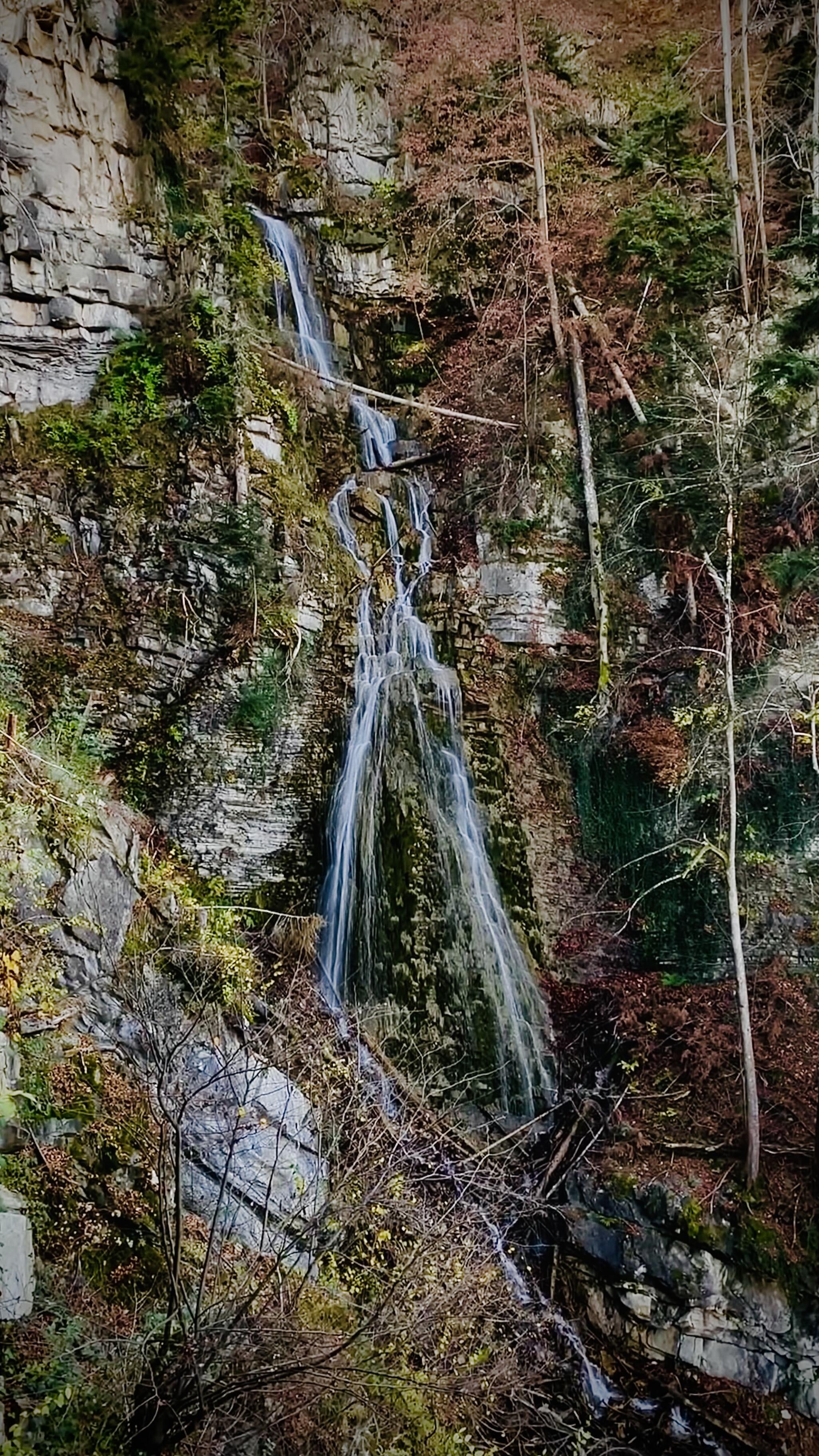 Bild ohne Beschreibung Bild ohne Beschreibung