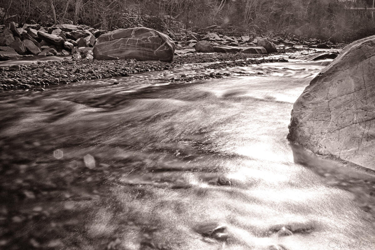 Bild ohne Beschreibung