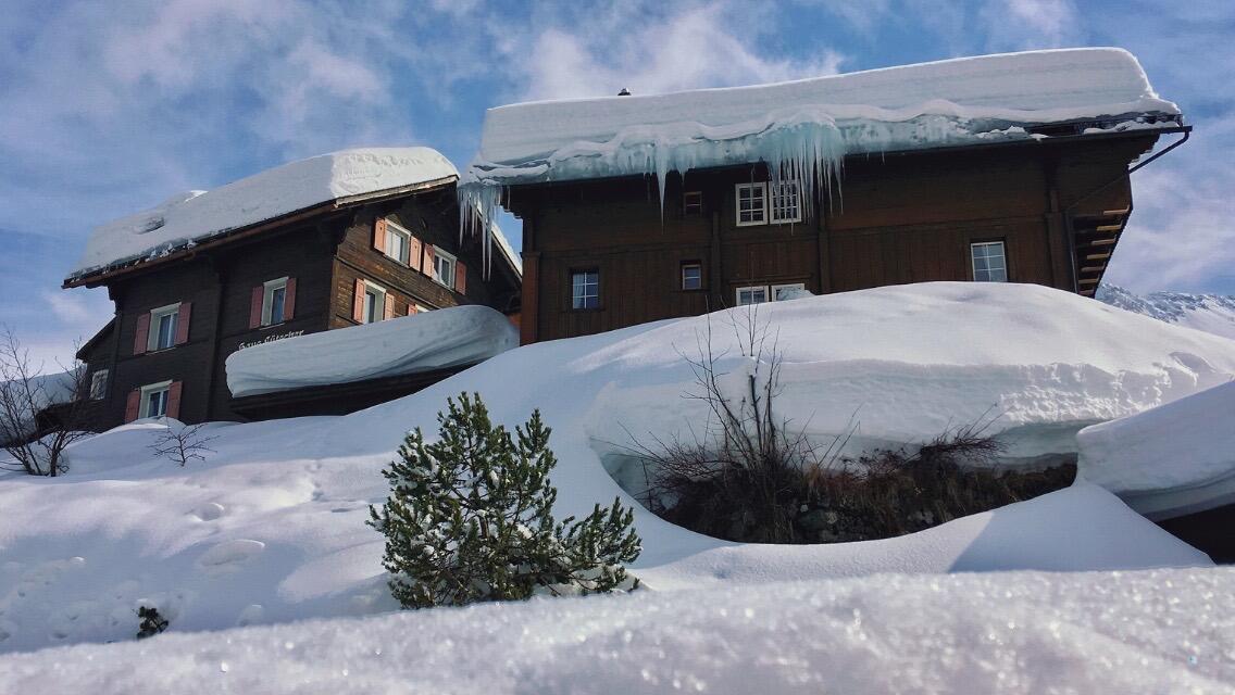 Bild ohne Beschreibung