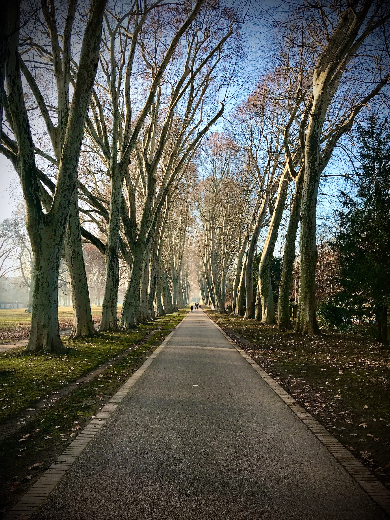 Bild ohne Beschreibung Bild ohne Beschreibung