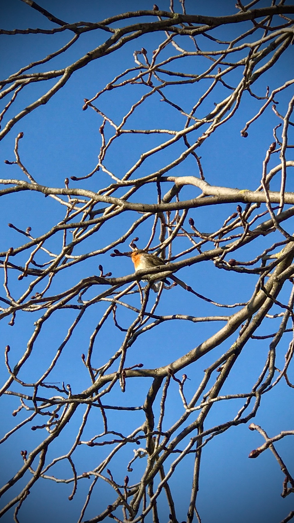 Bild ohne Beschreibung Bild ohne Beschreibung