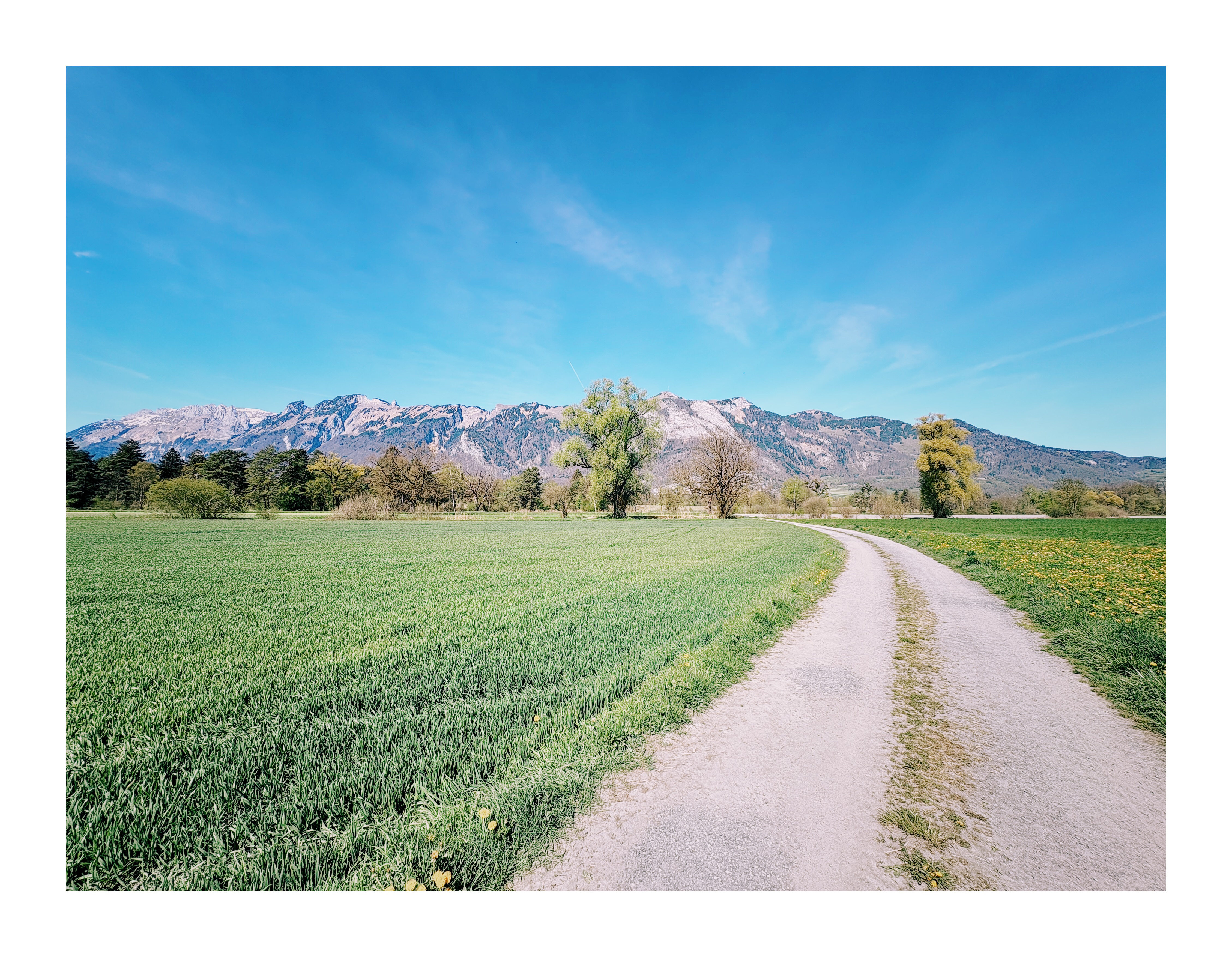 Bild ohne Beschreibung