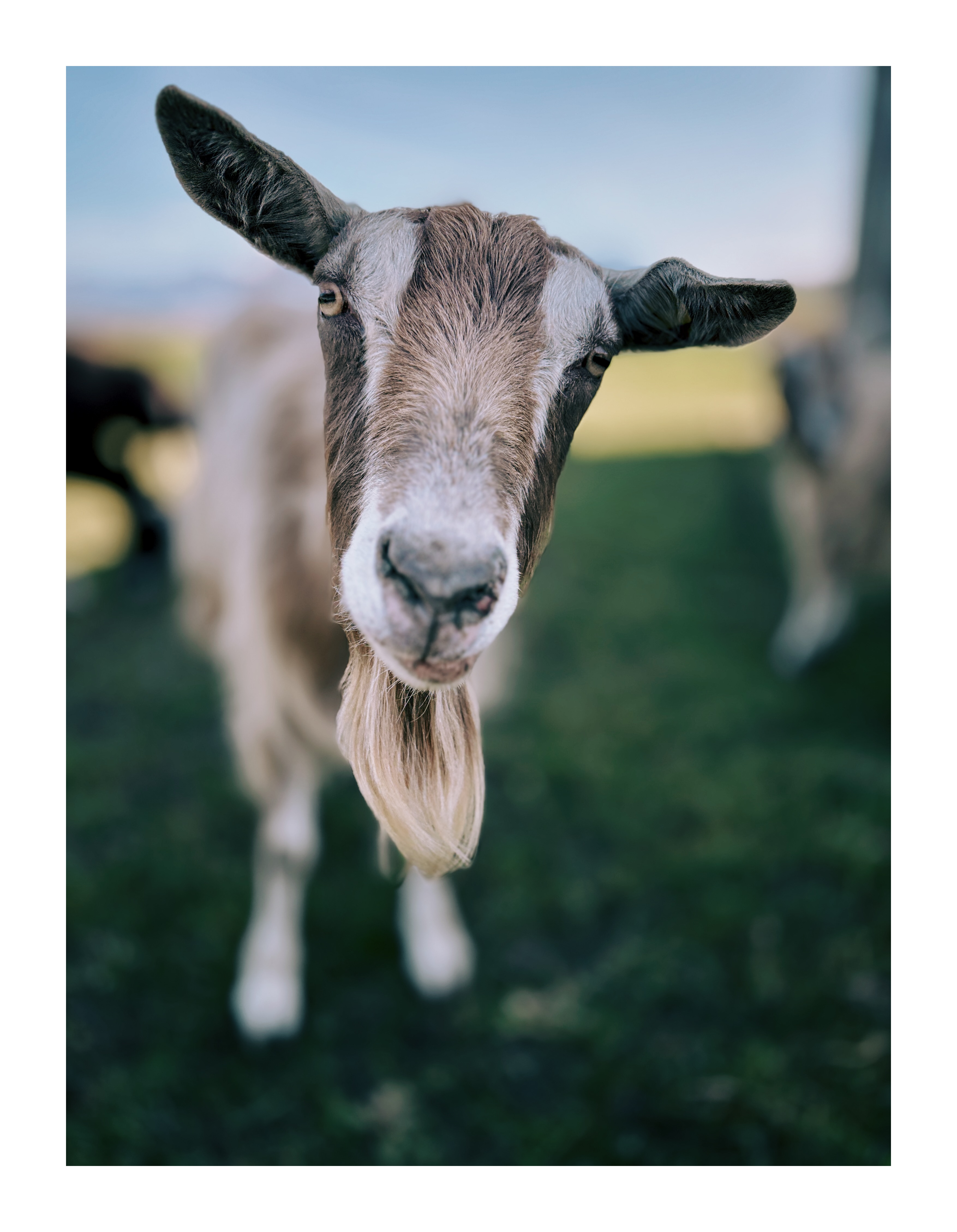 Bild ohne Beschreibung