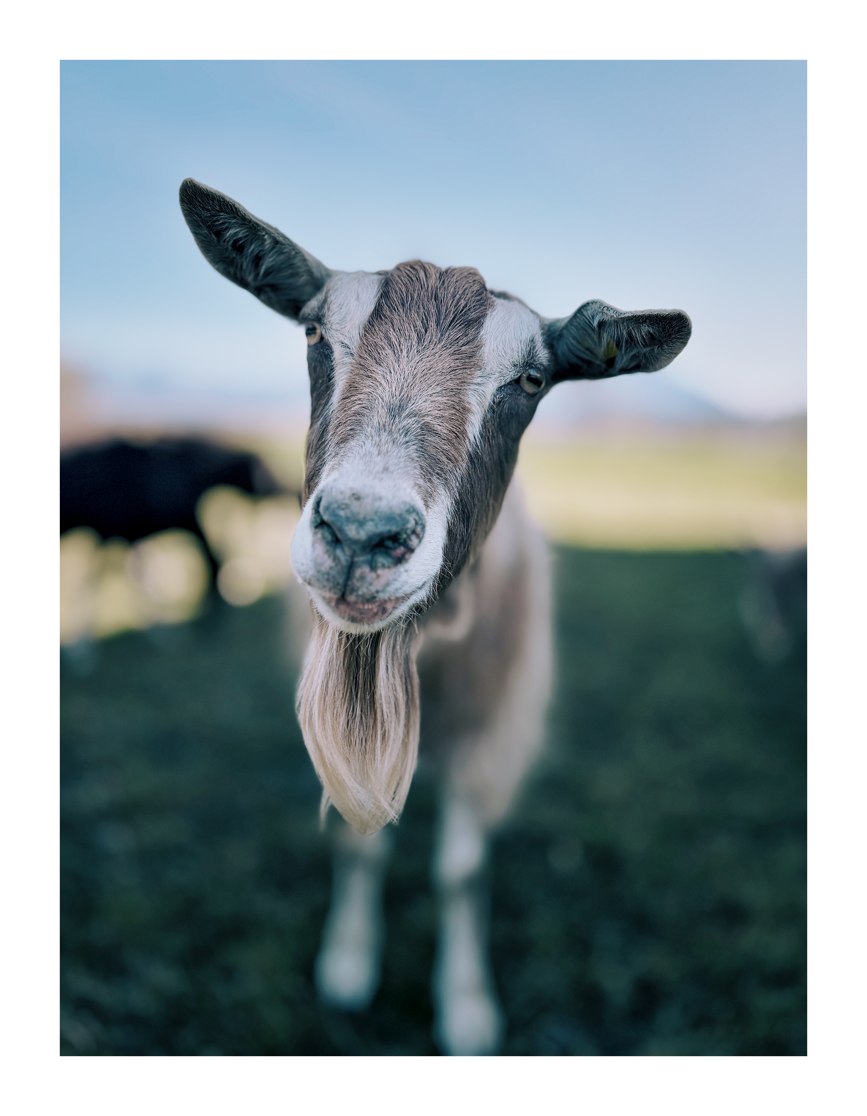 Bild ohne Beschreibung