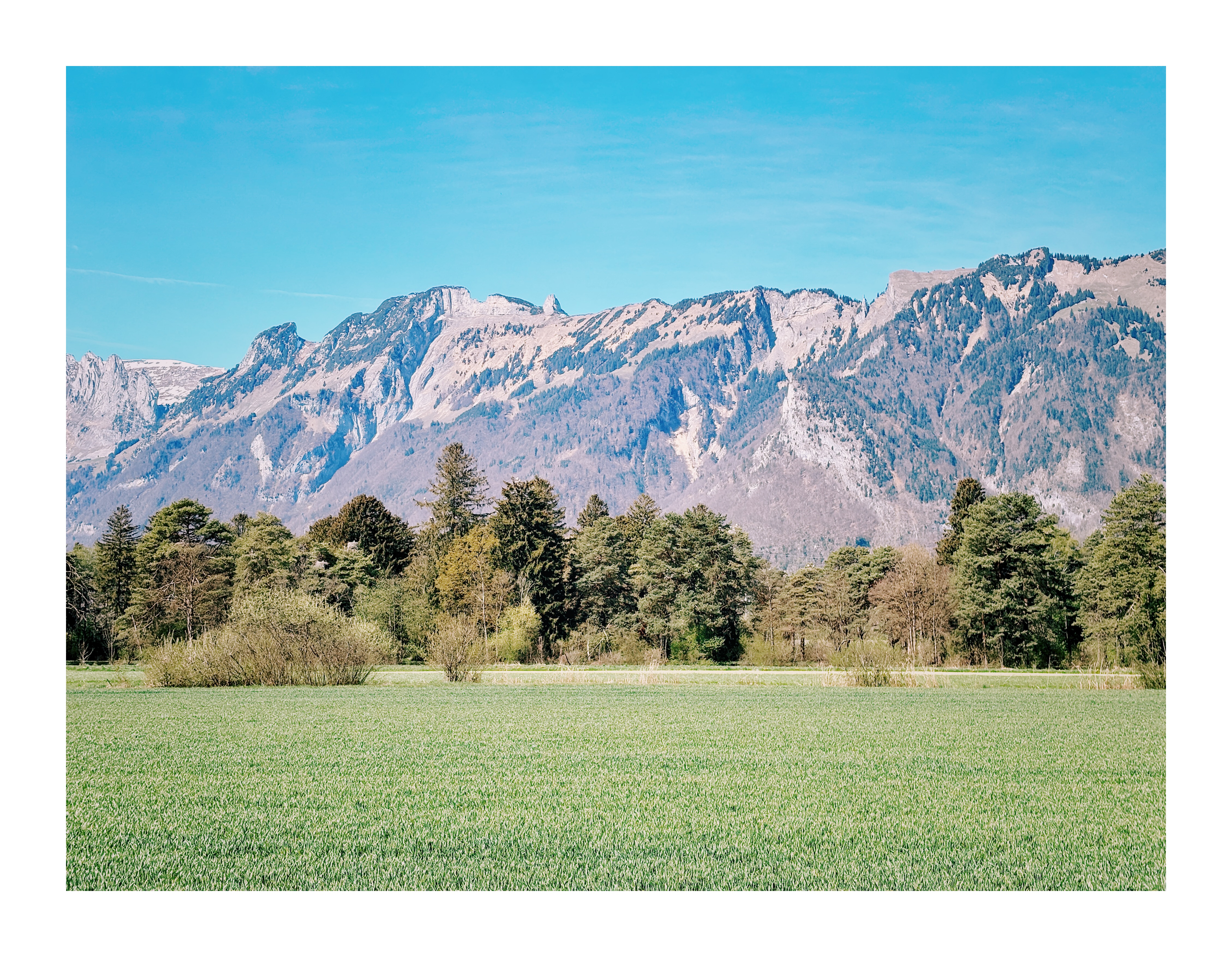 Bild ohne Beschreibung