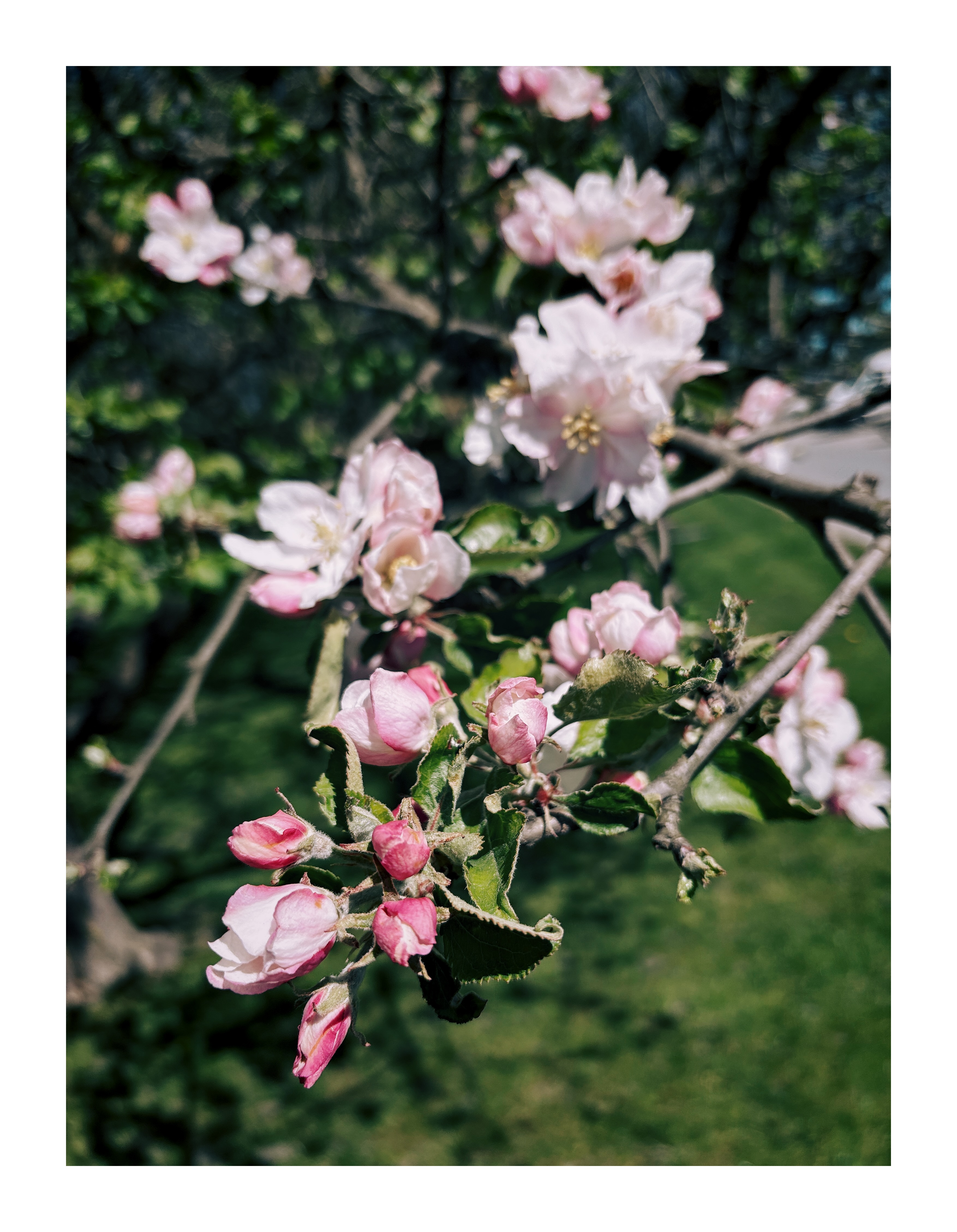 Bild ohne Beschreibung