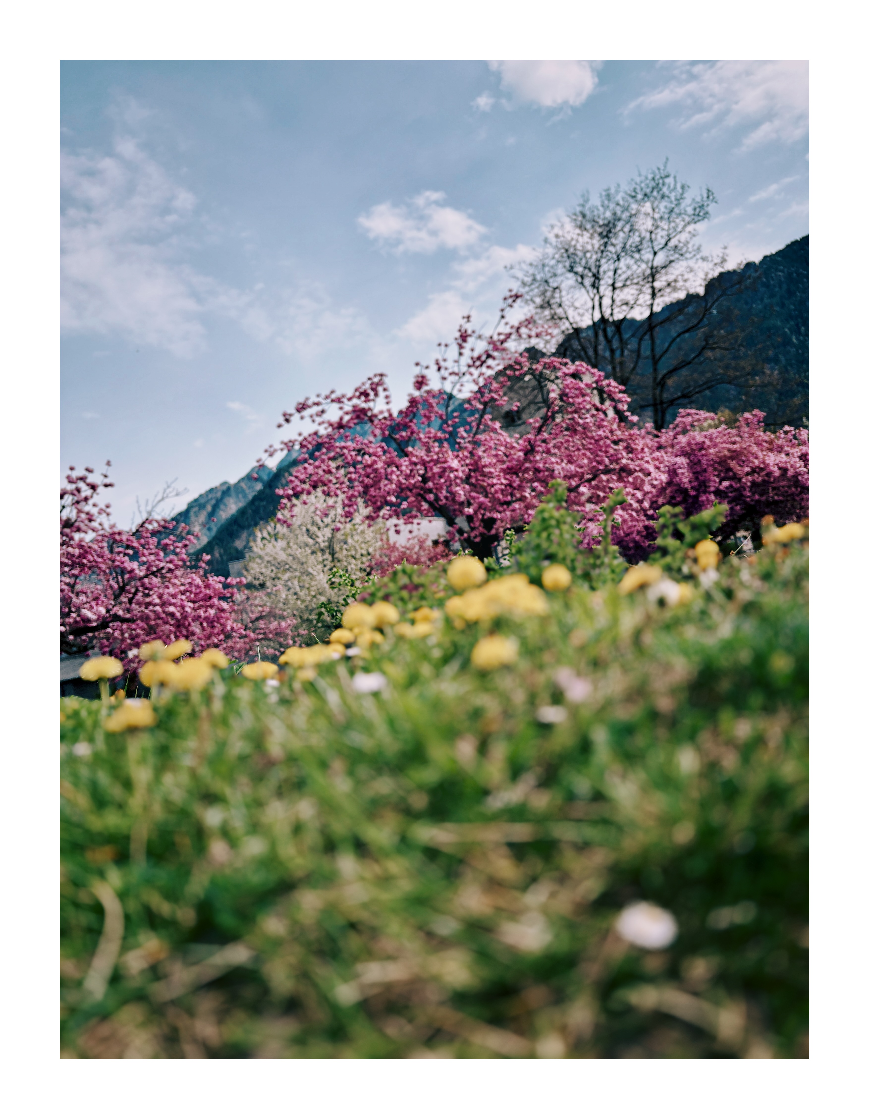 Bild ohne Beschreibung