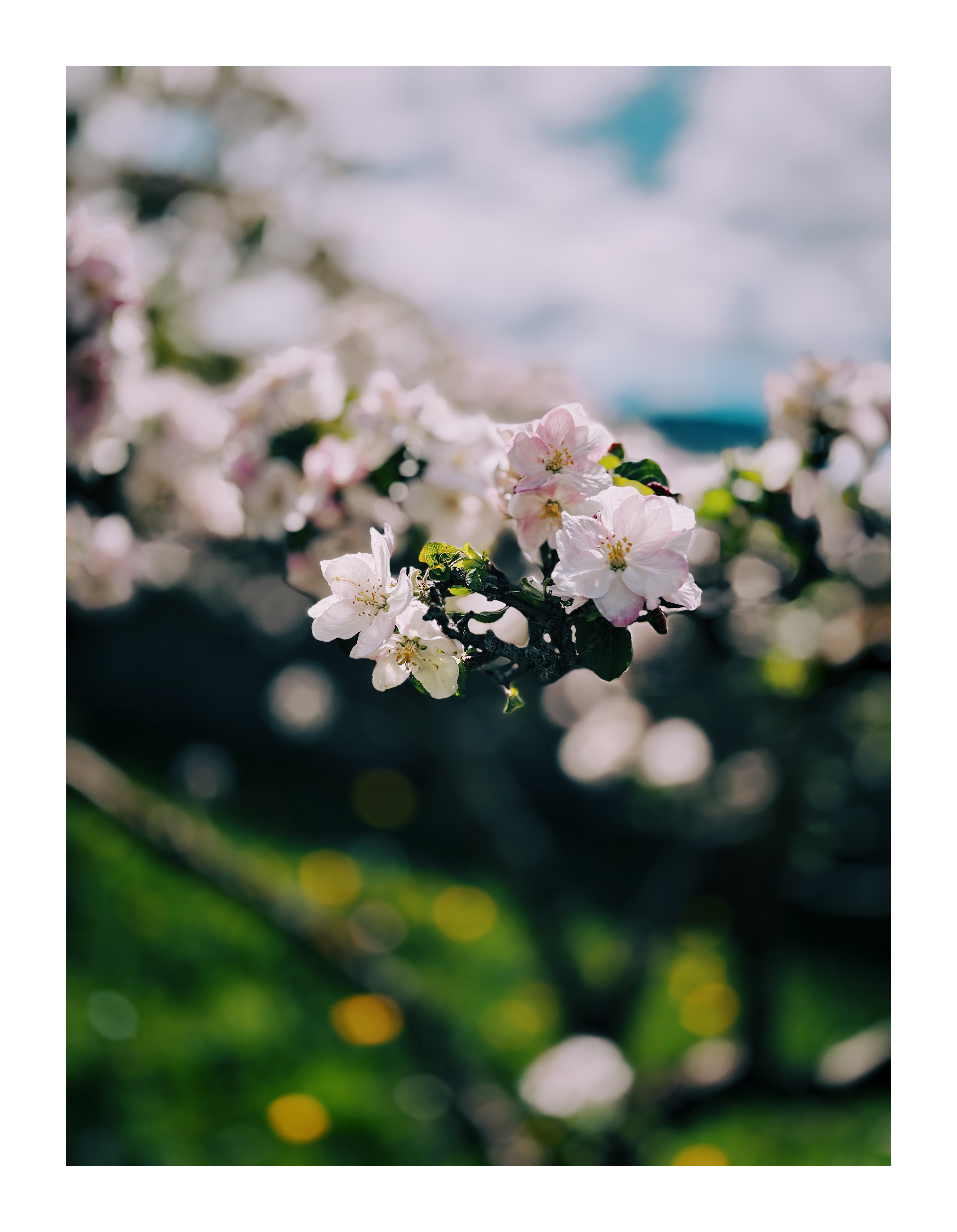 Bild ohne Beschreibung