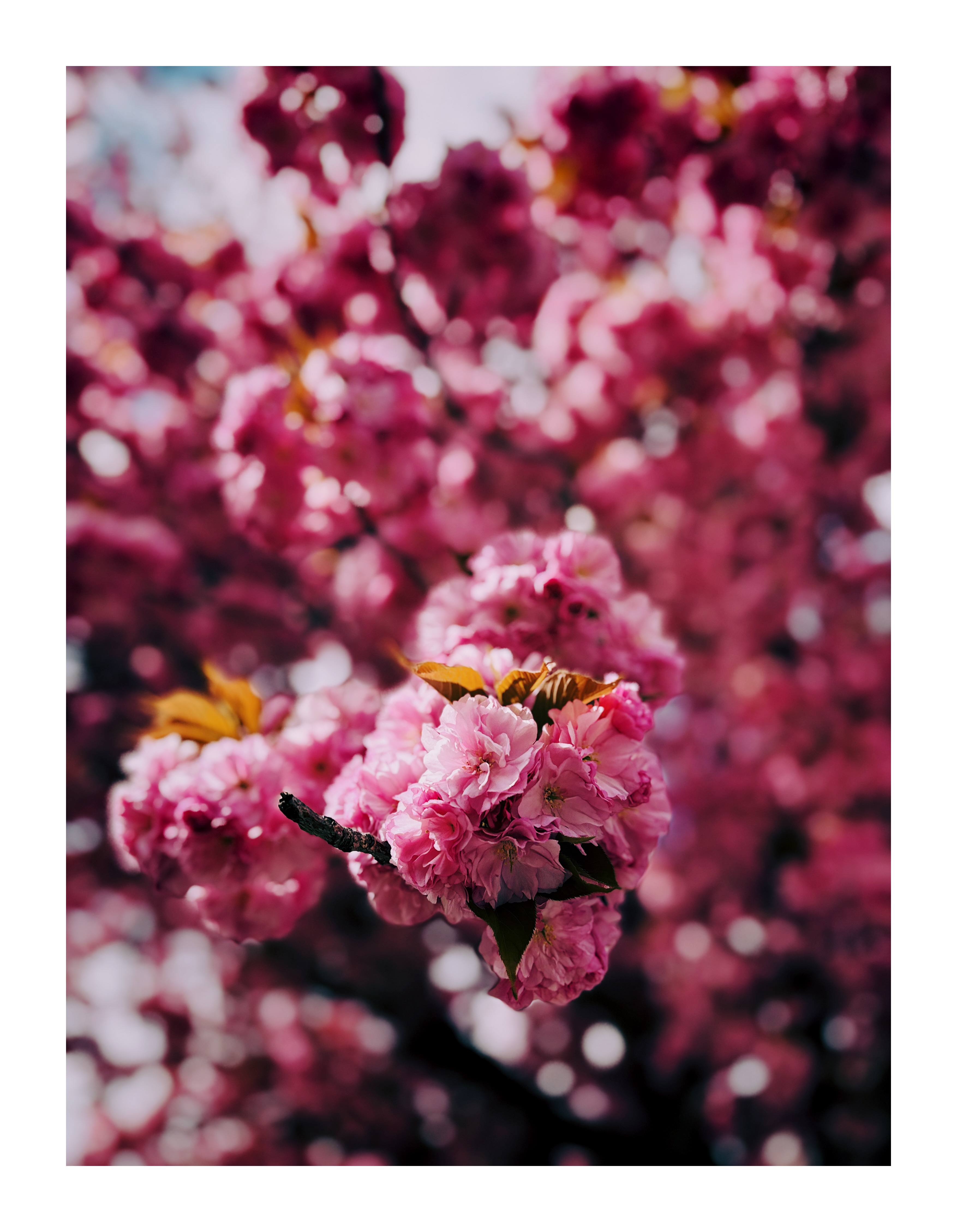 Bild ohne Beschreibung