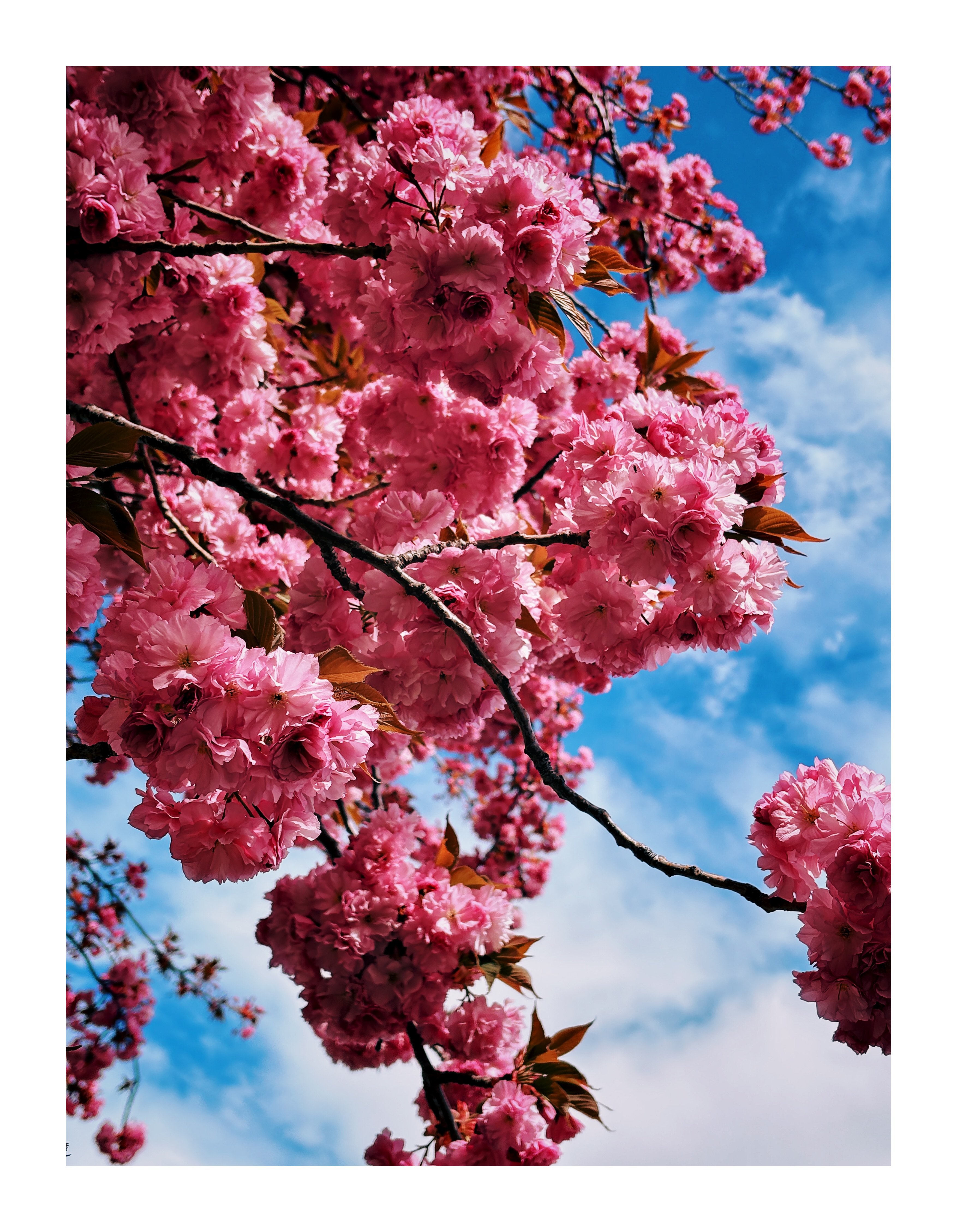 Bild ohne Beschreibung