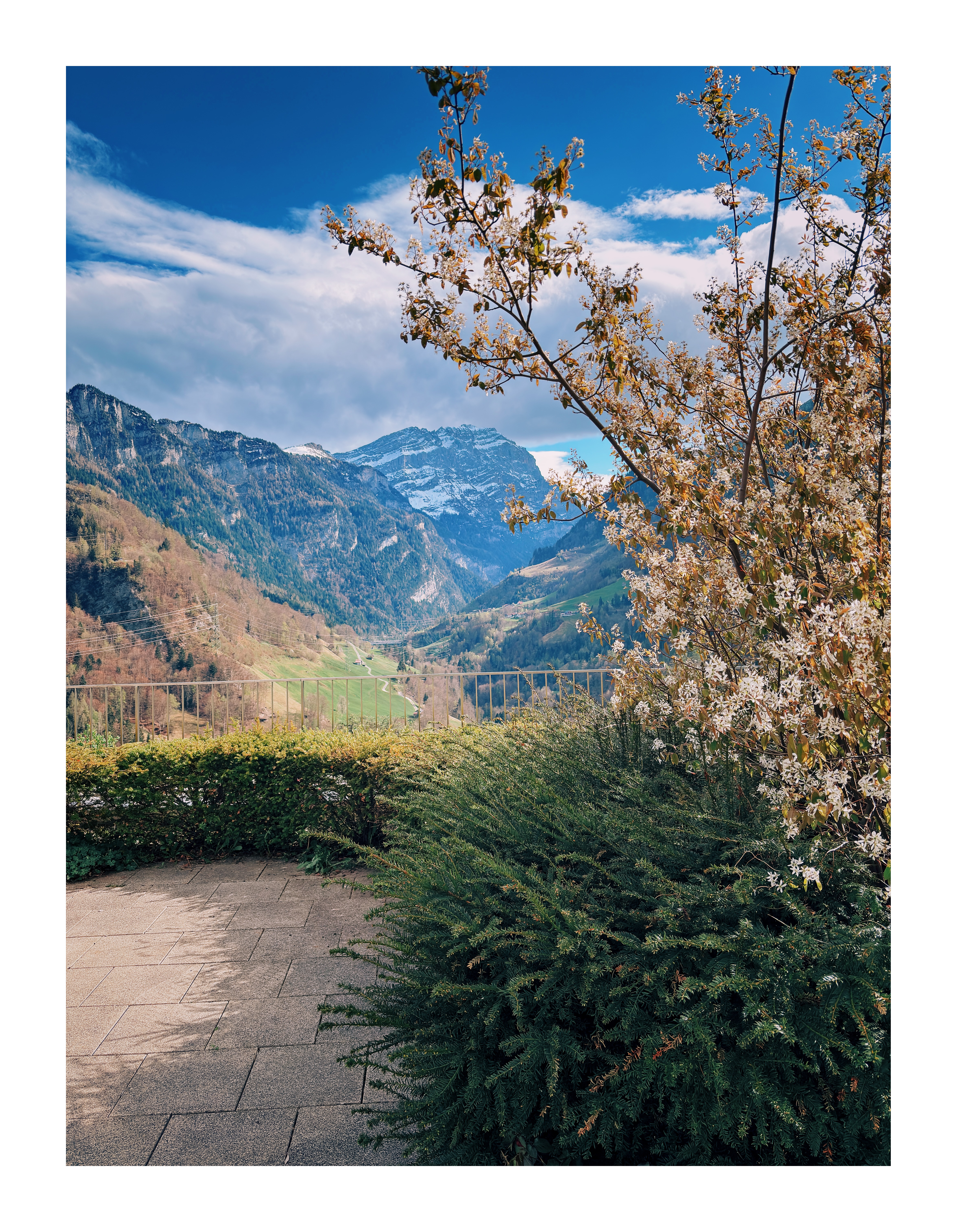 Bild ohne Beschreibung