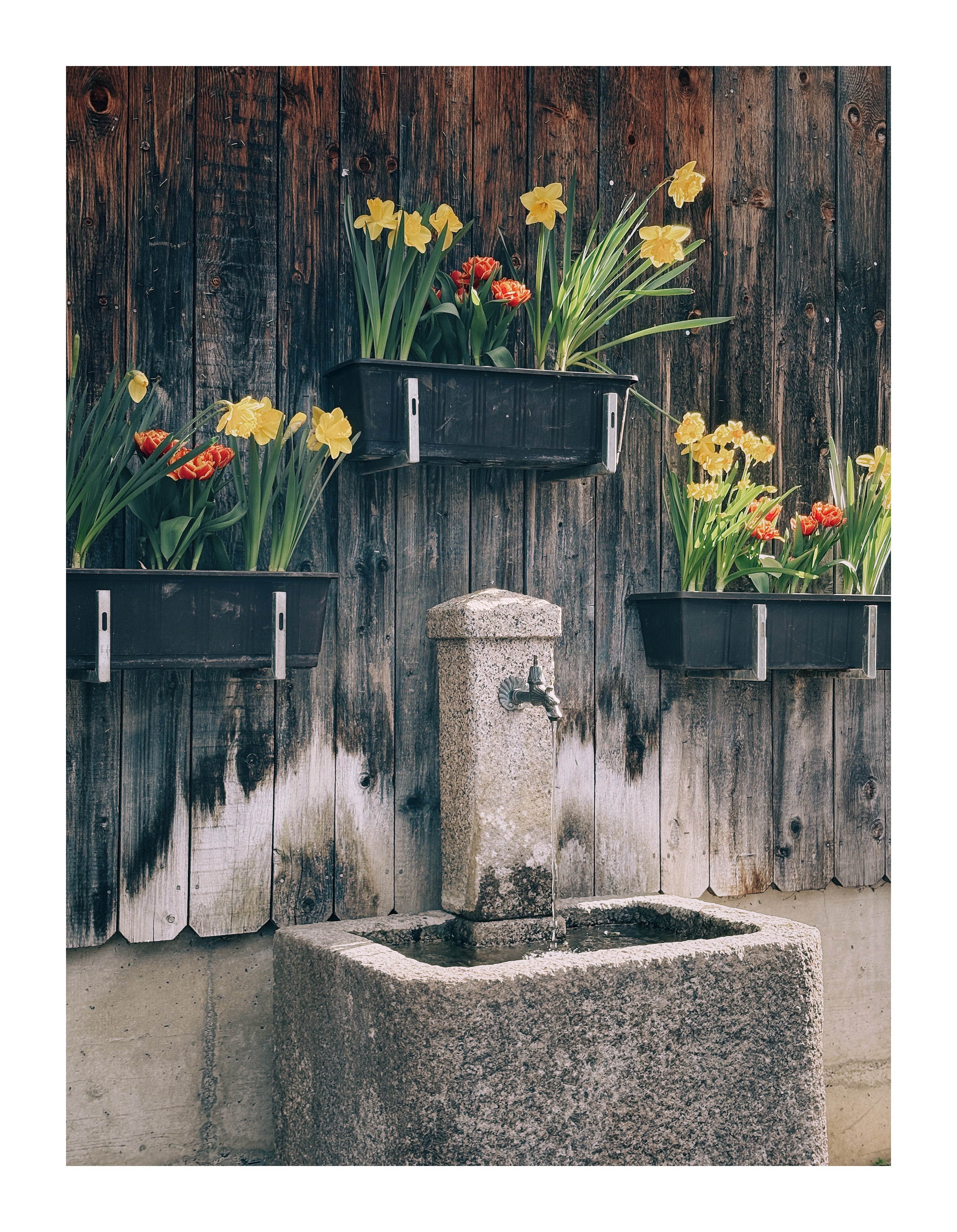 Bild ohne Beschreibung