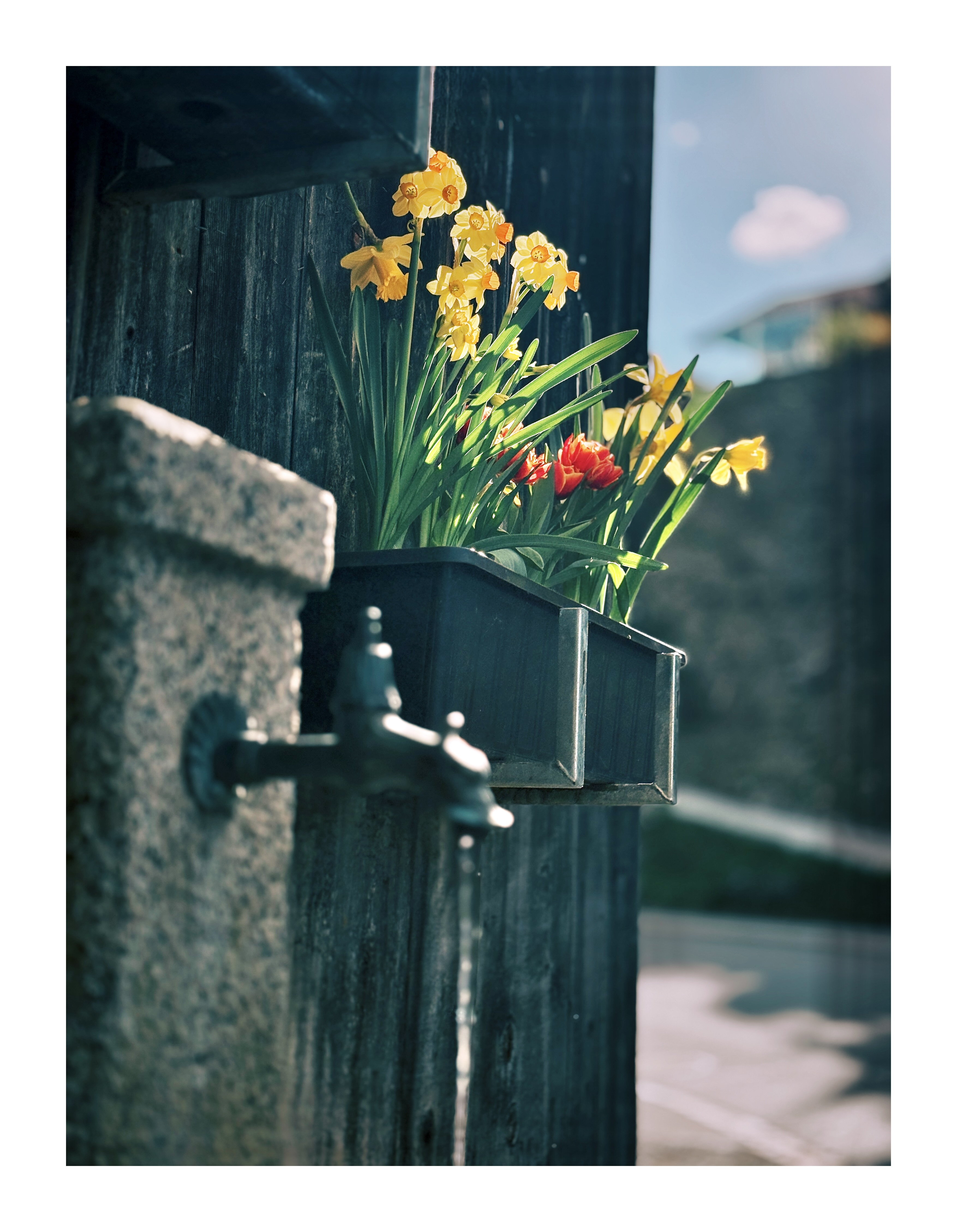 Bild ohne Beschreibung