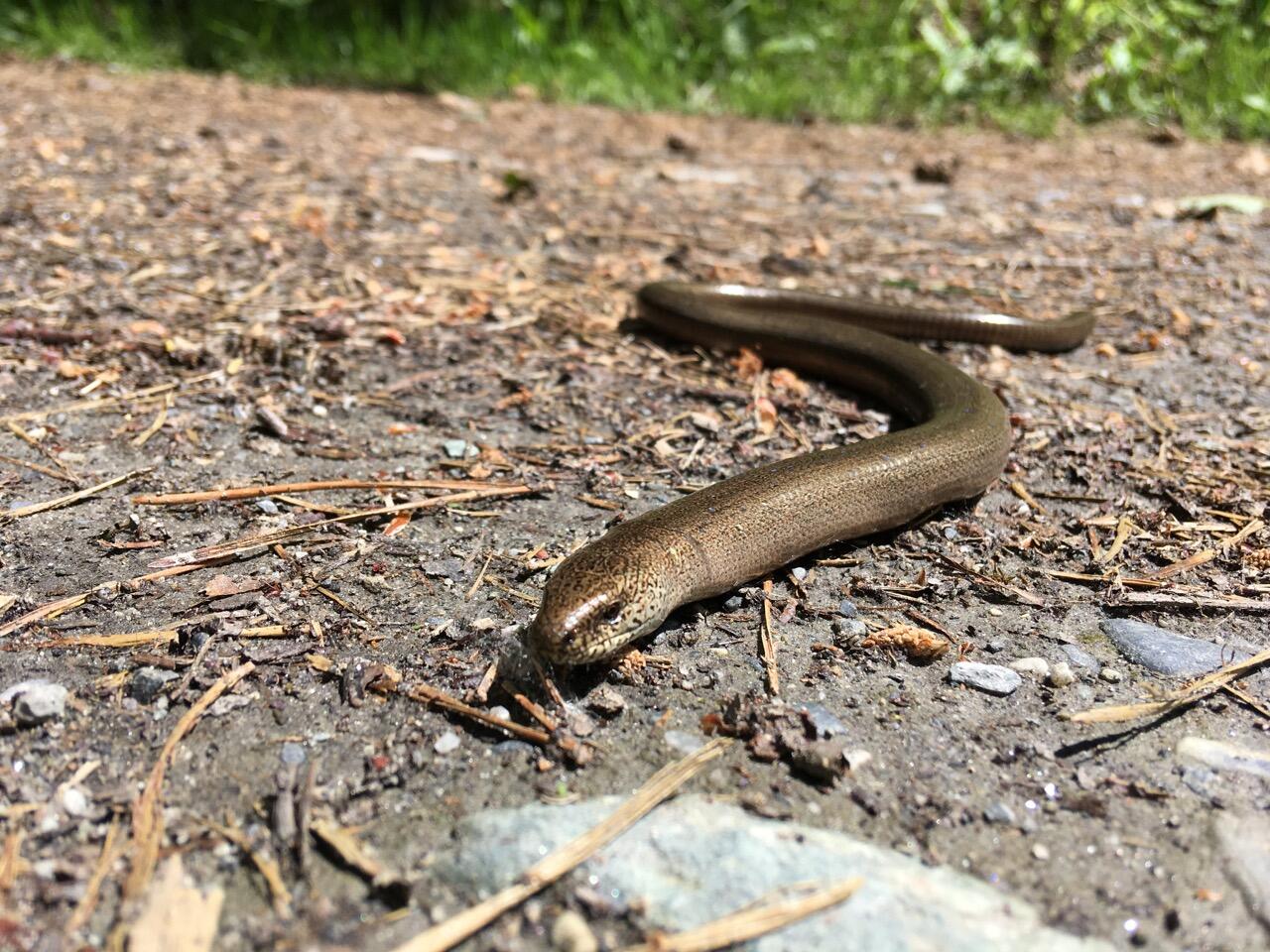 Bild ohne Beschreibung Bild ohne Beschreibung