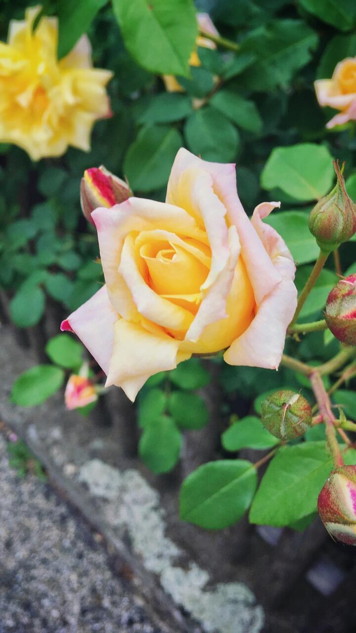 Bild ohne Beschreibung Bild ohne Beschreibung