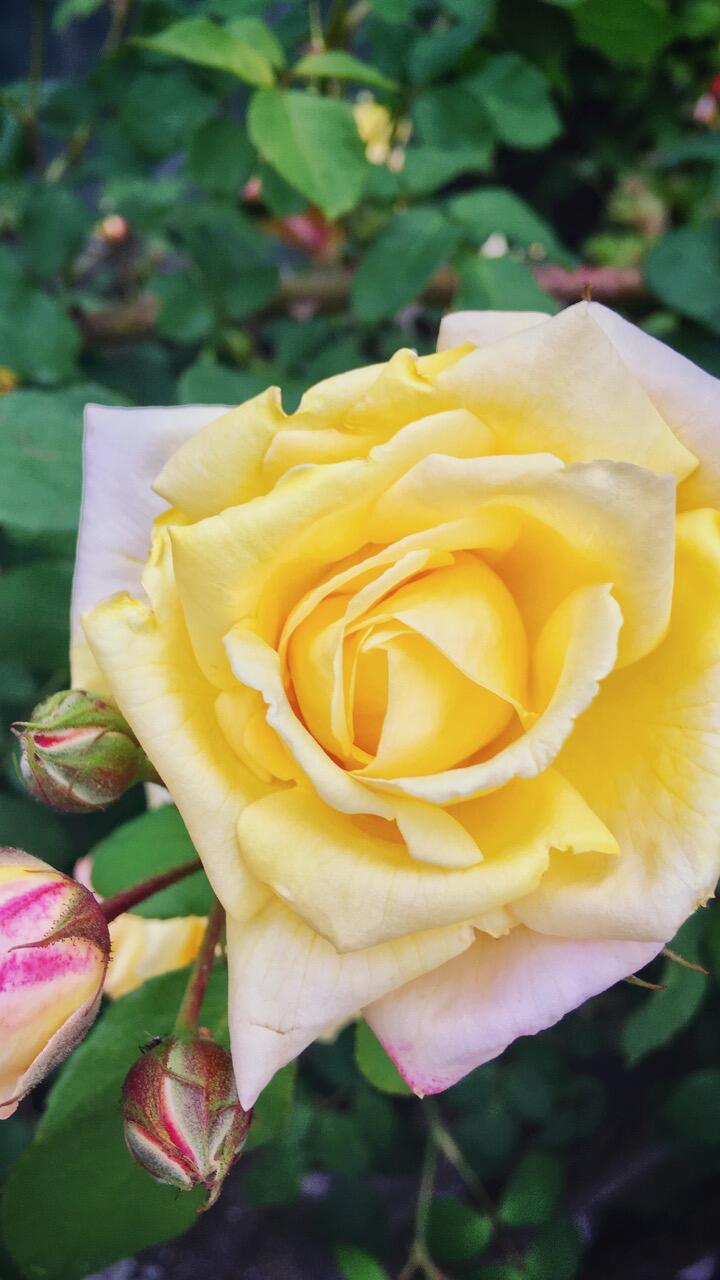 Bild ohne Beschreibung Bild ohne Beschreibung