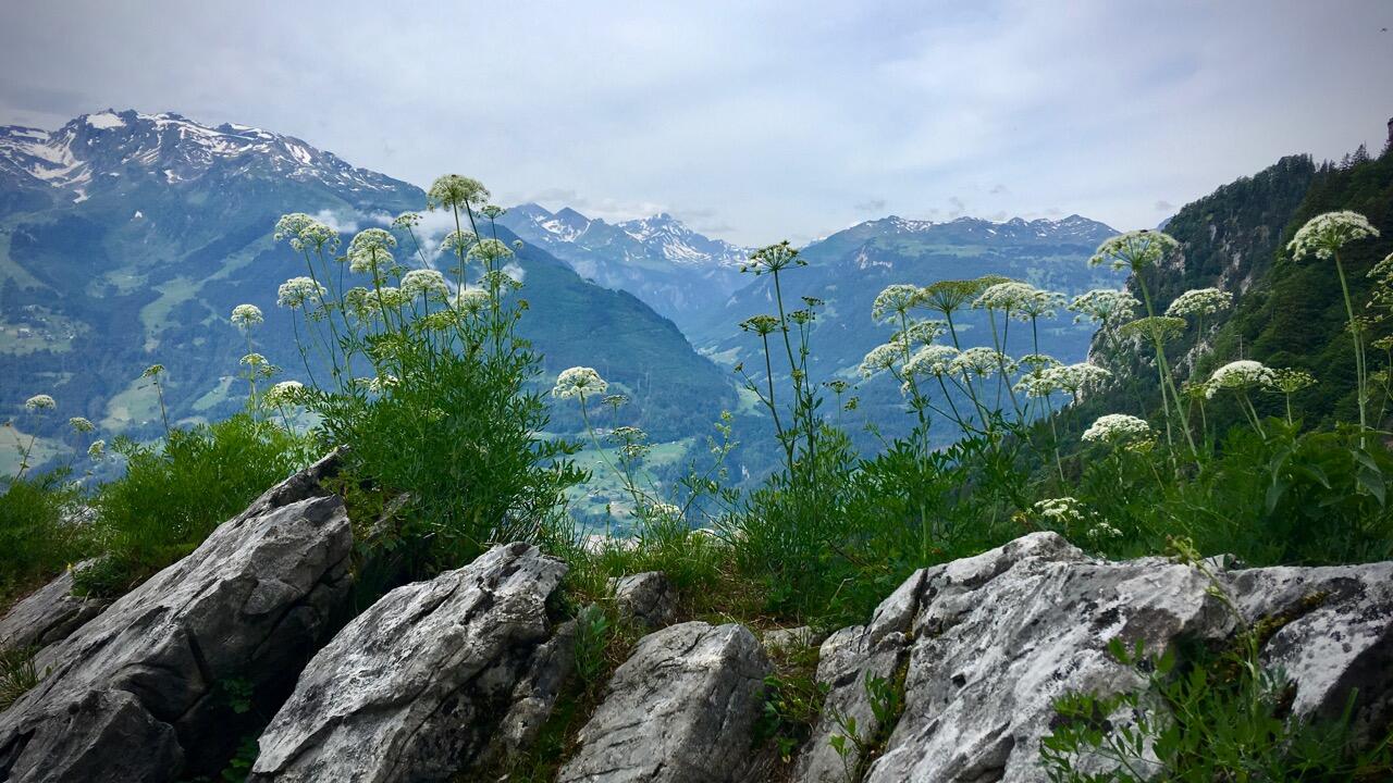 Bild ohne Beschreibung