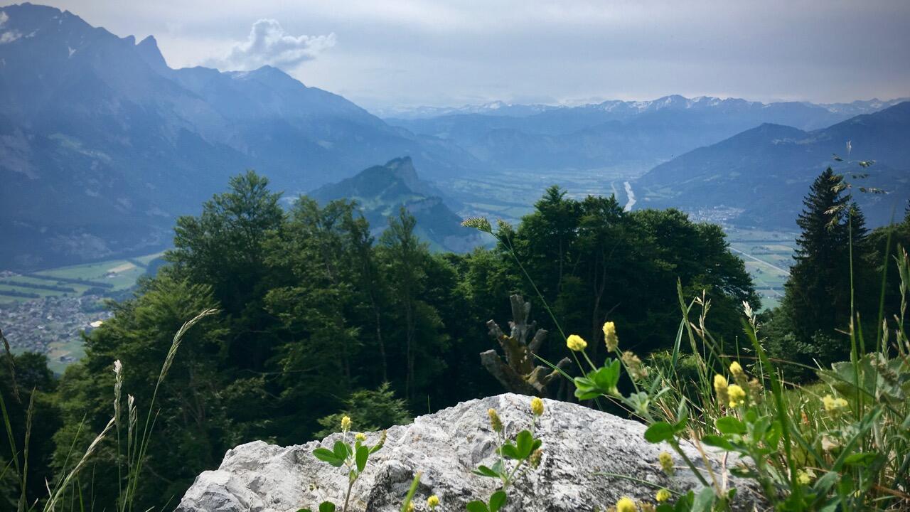 Bild ohne Beschreibung