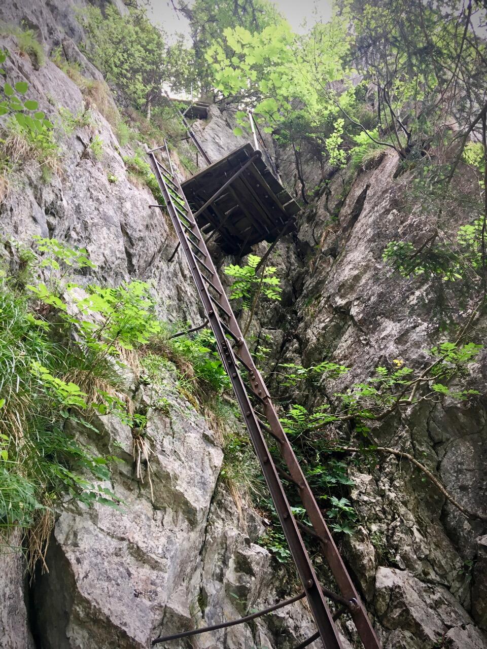 Bild ohne Beschreibung