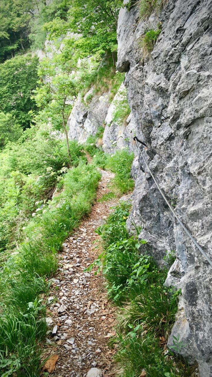 Bild ohne Beschreibung