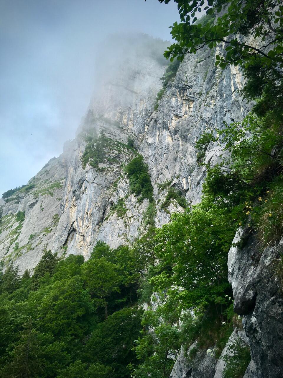 Bild ohne Beschreibung