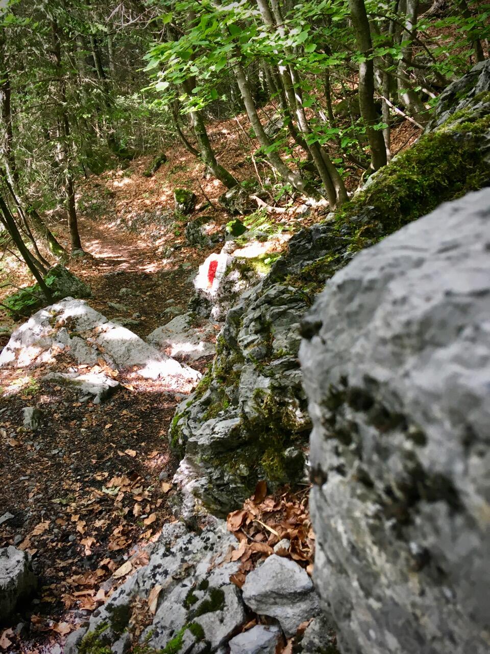 Bild ohne Beschreibung