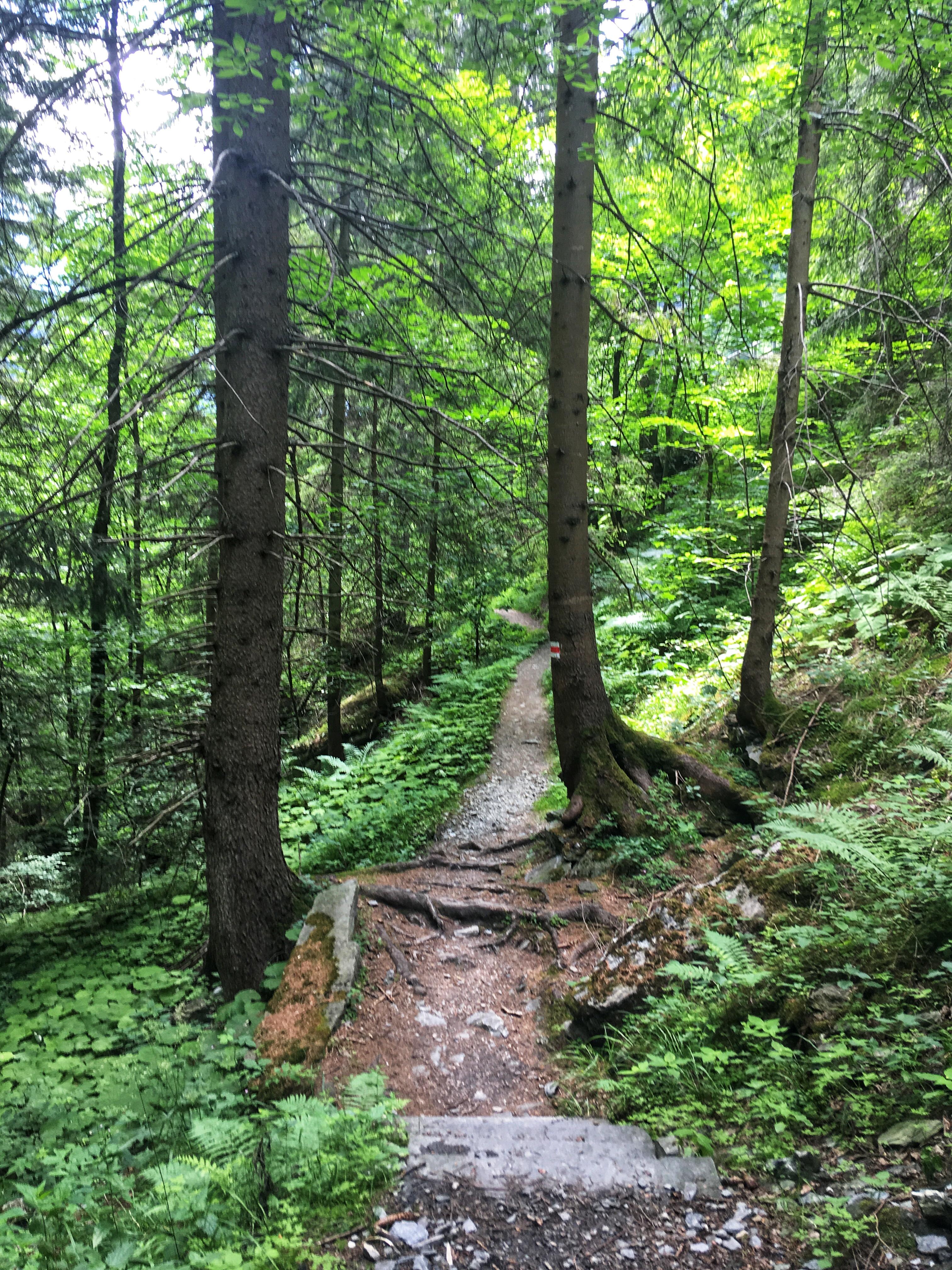 Bild ohne Beschreibung Bild ohne Beschreibung