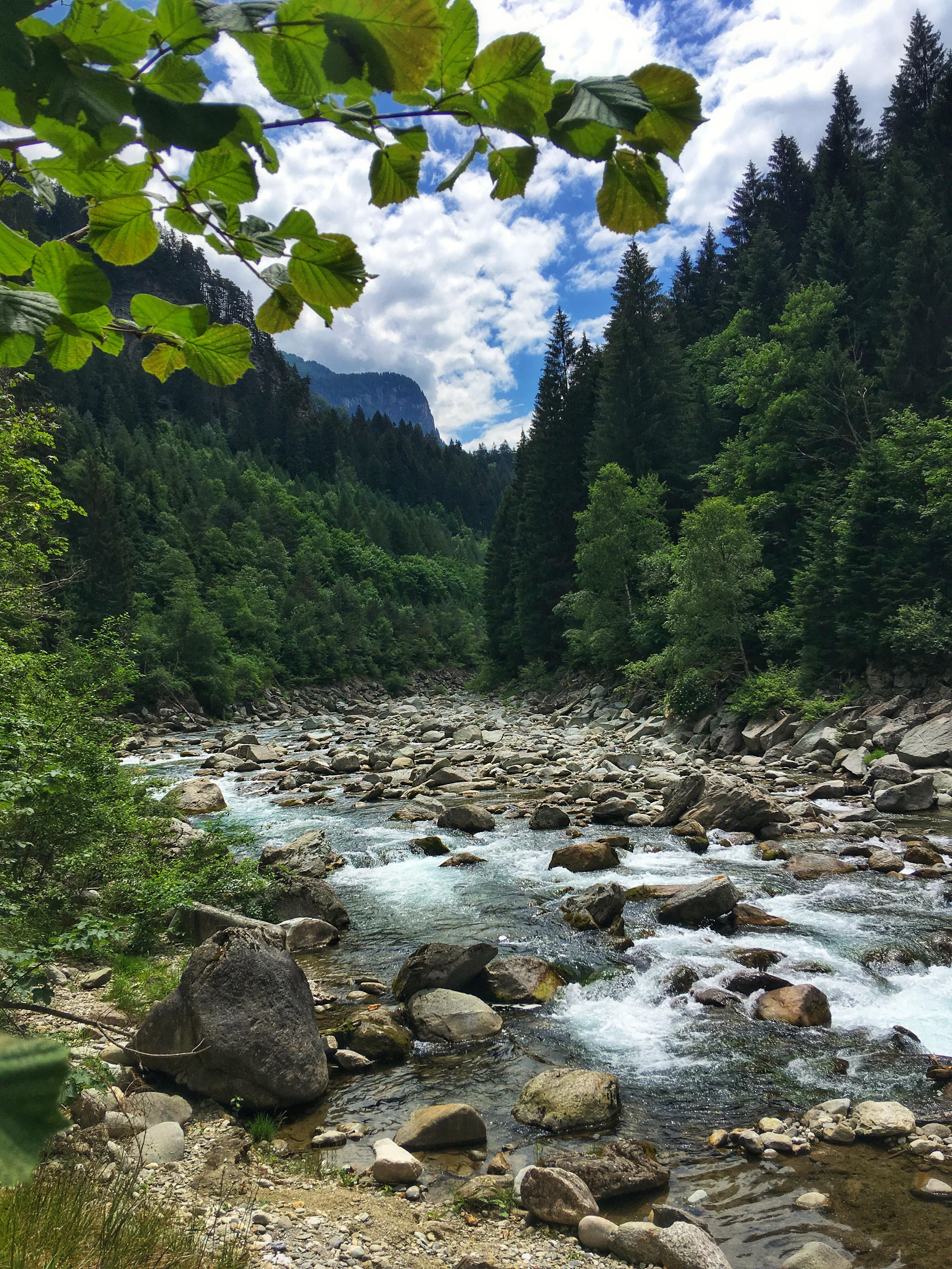 Bild ohne Beschreibung Bild ohne Beschreibung