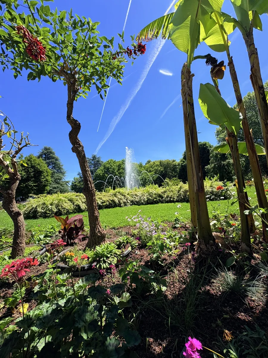 Bild ohne Beschreibung