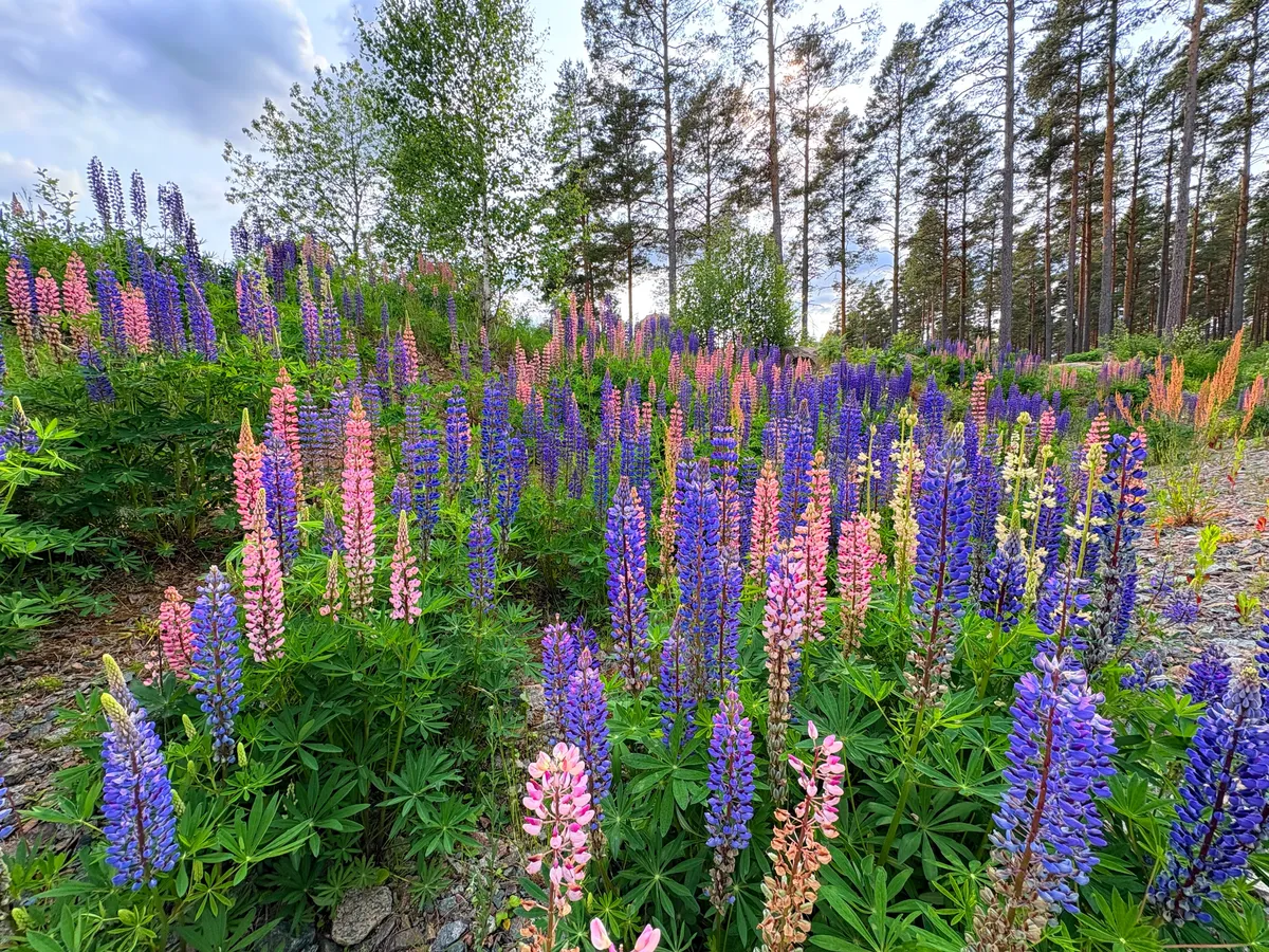 Bild ohne Beschreibung