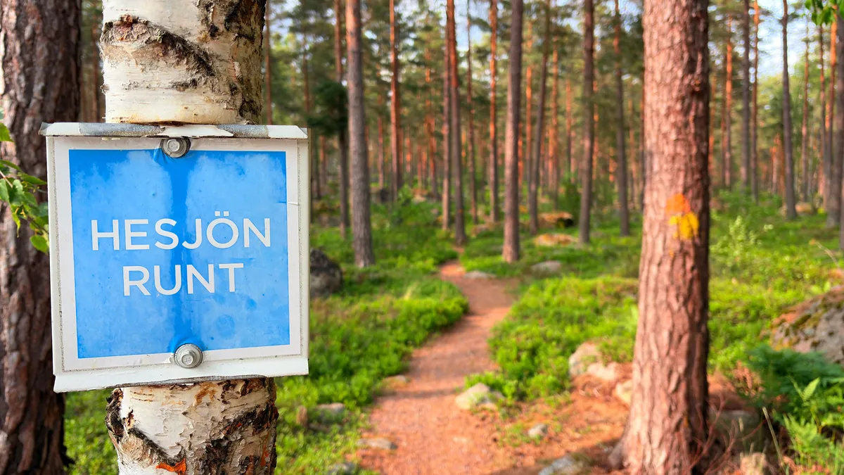 Bild ohne Beschreibung