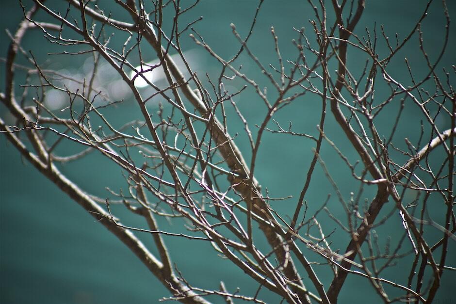 IMG_5614 - Arbeitskopie 2