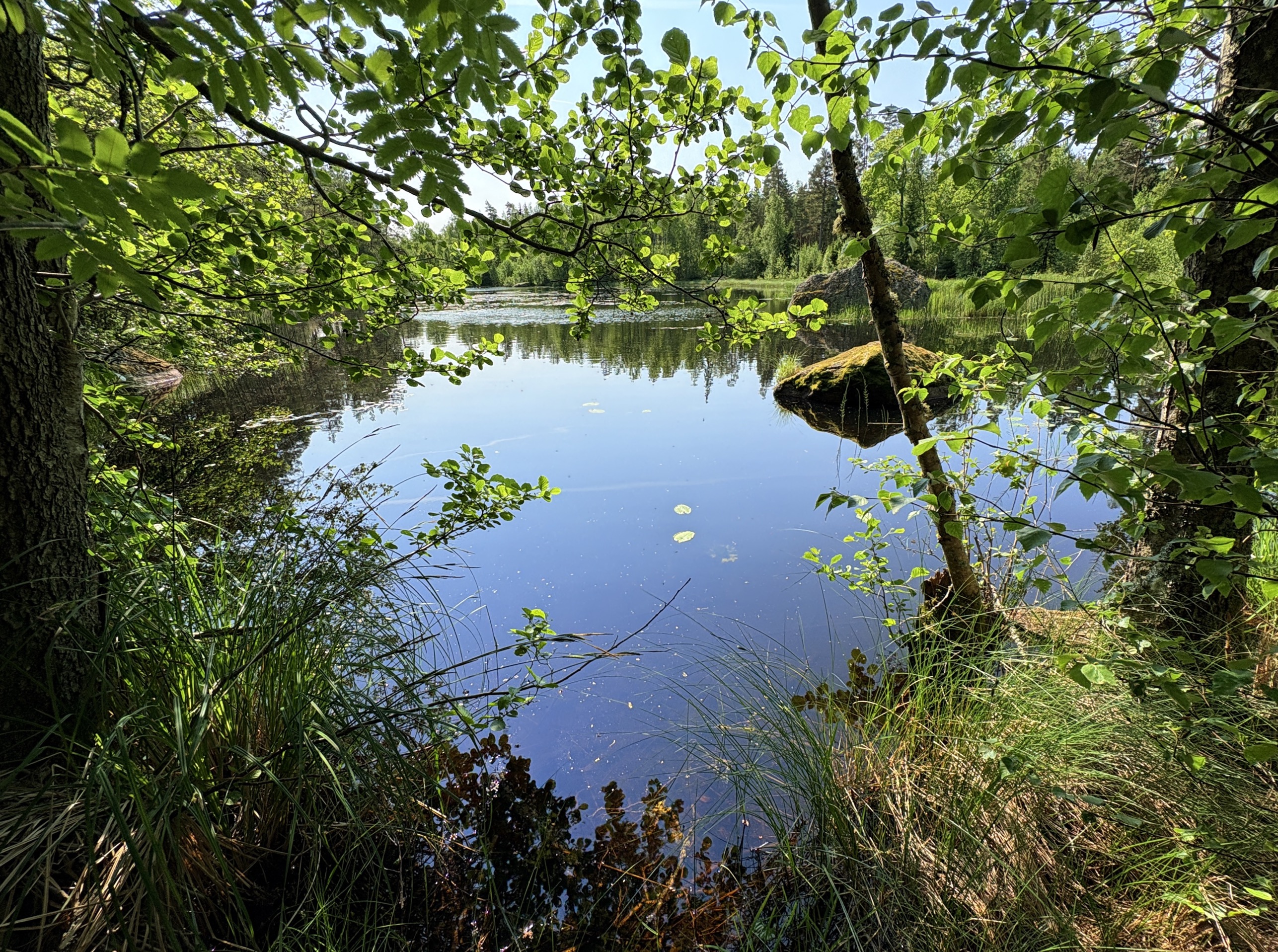 Bild ohne Beschreibung Bild ohne Beschreibung