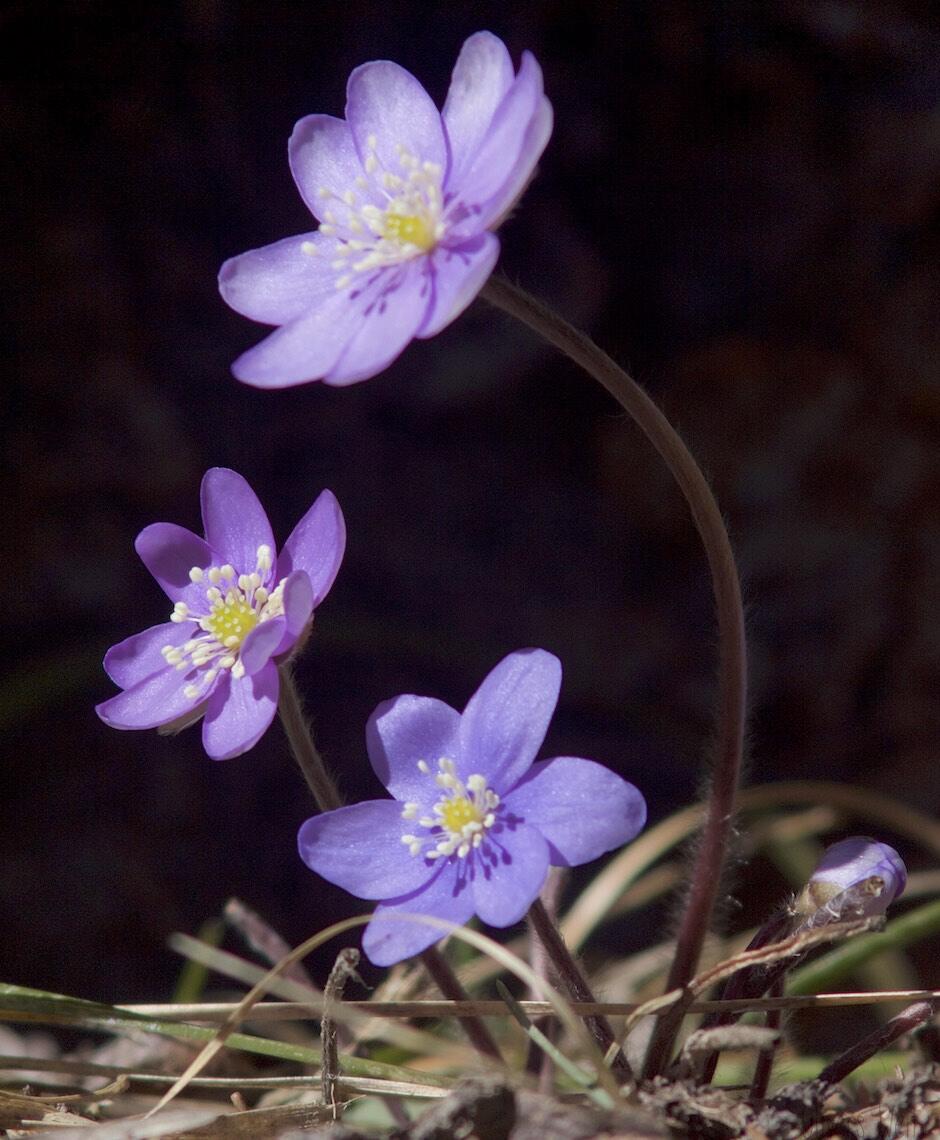 IMG_5628 - Arbeitskopie 2