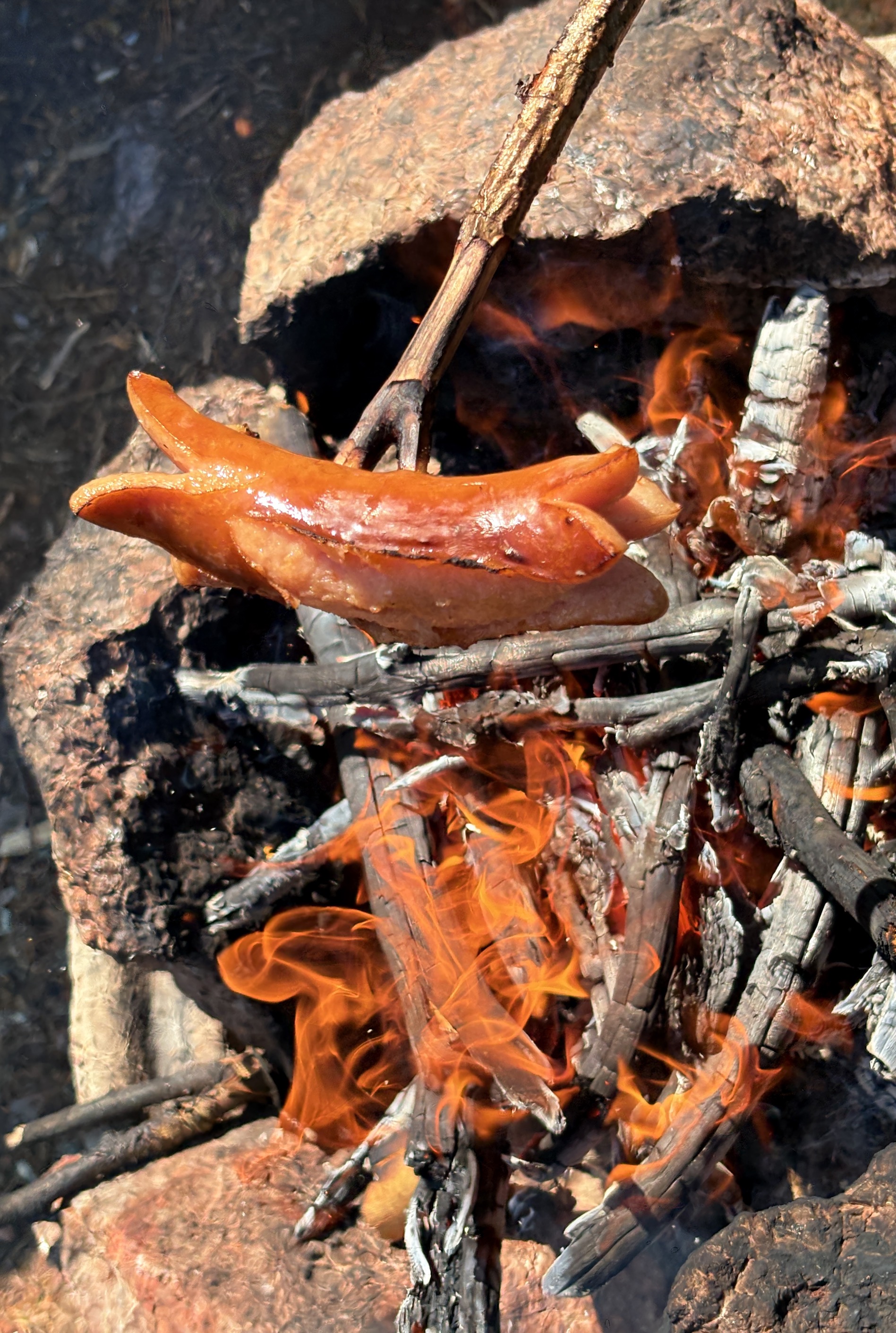 Bild ohne Beschreibung Bild ohne Beschreibung