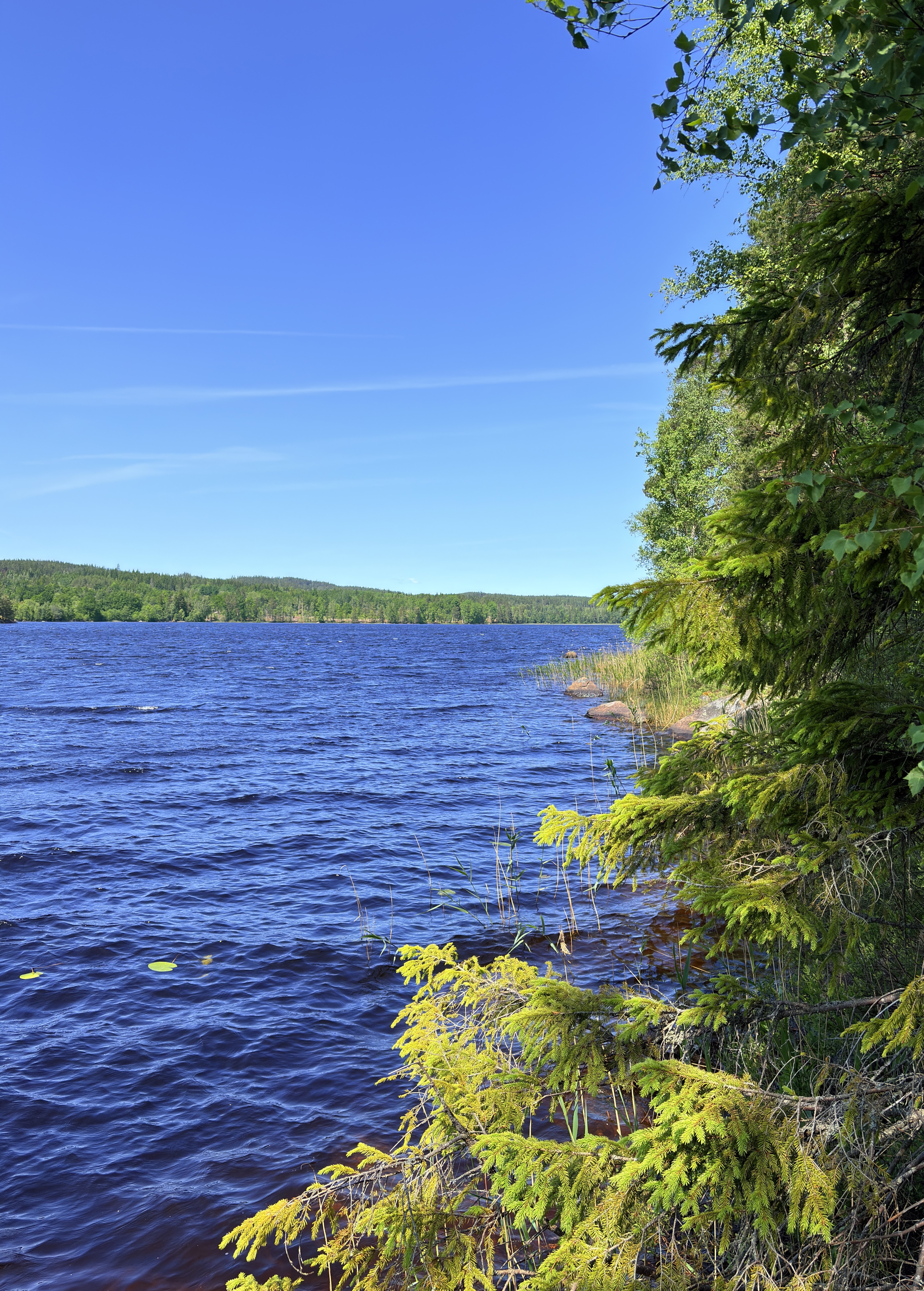 Bild ohne Beschreibung Bild ohne Beschreibung