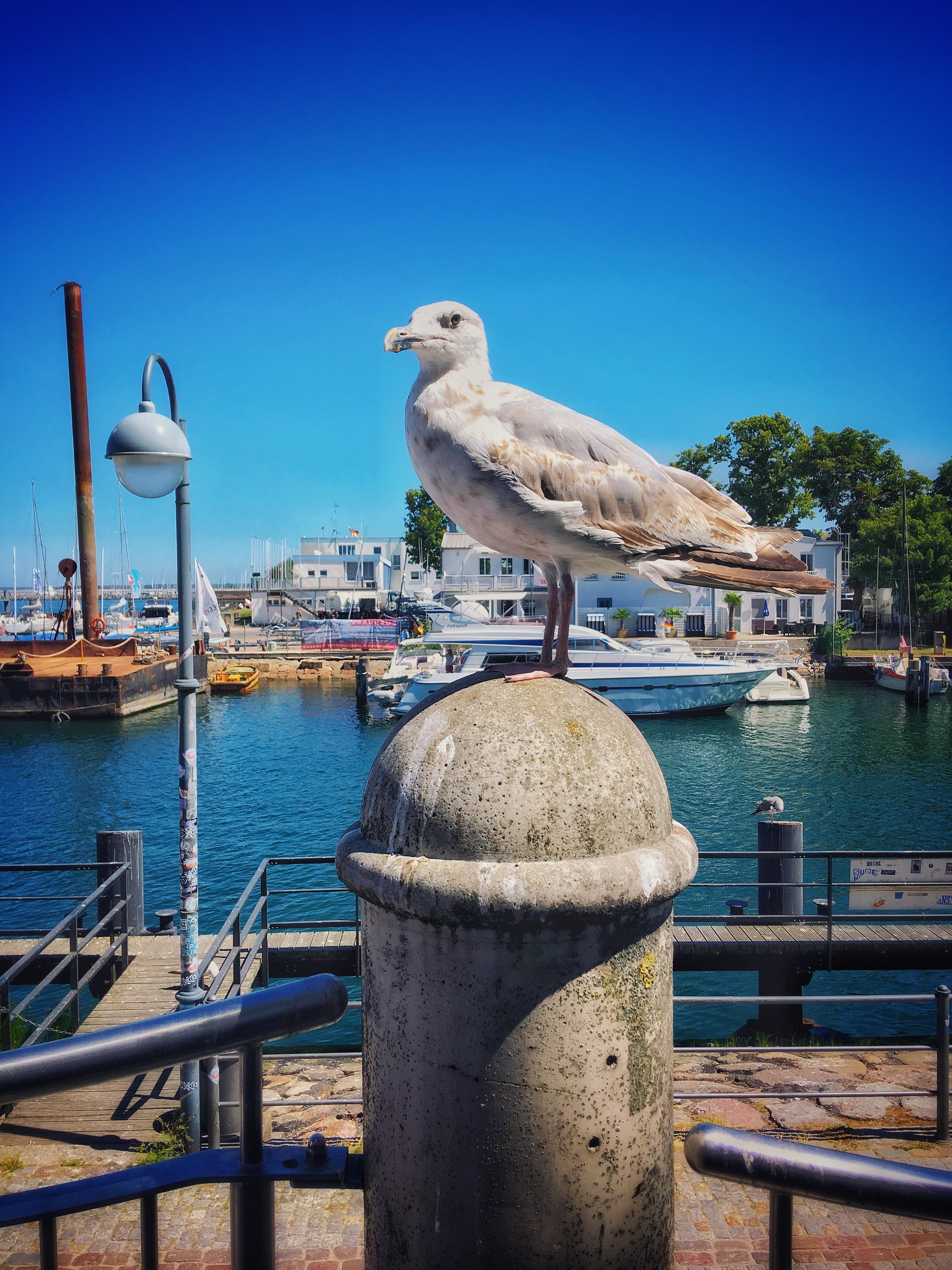 Bild ohne Beschreibung Bild ohne Beschreibung