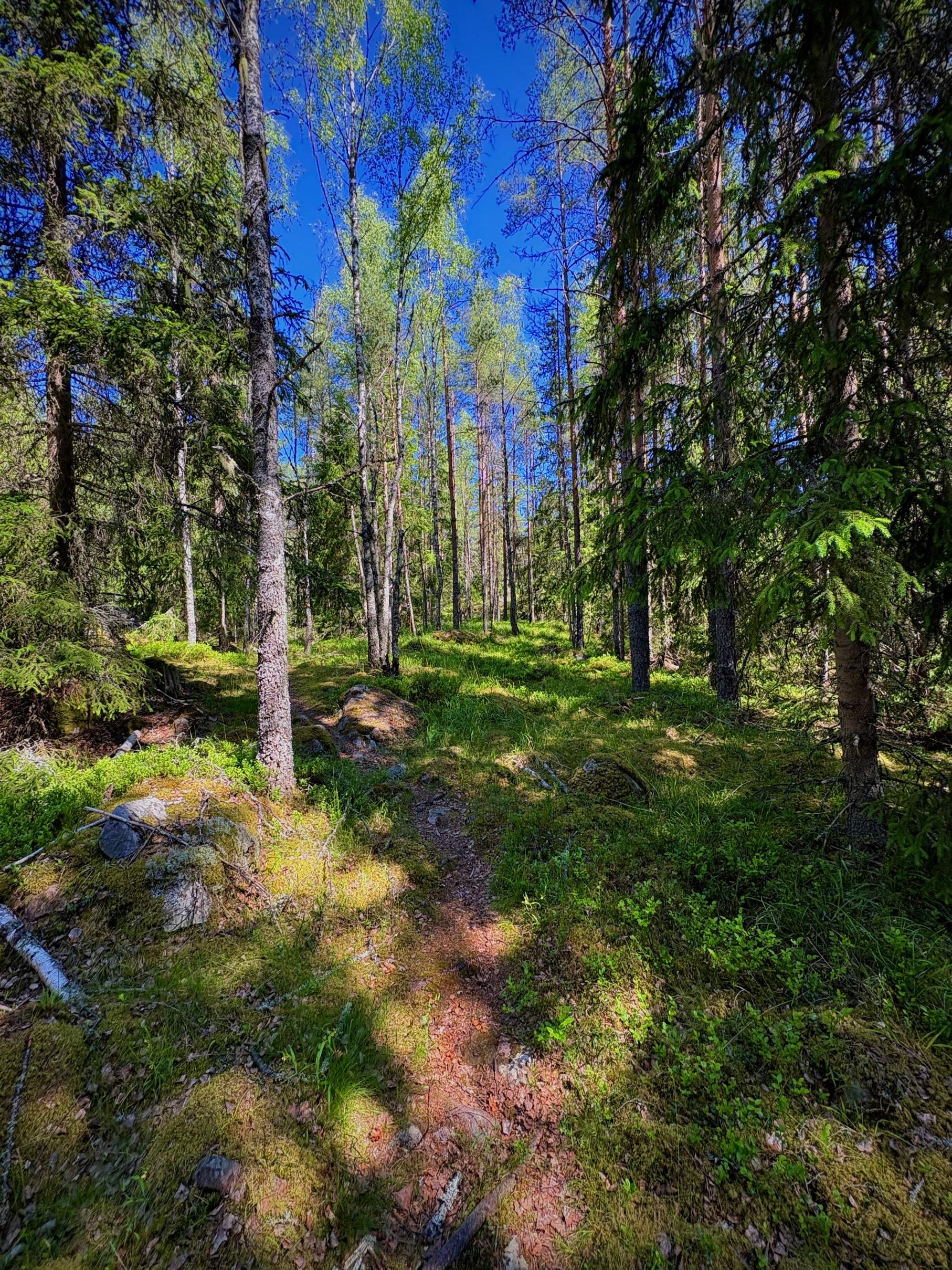 Bild ohne Beschreibung Bild ohne Beschreibung