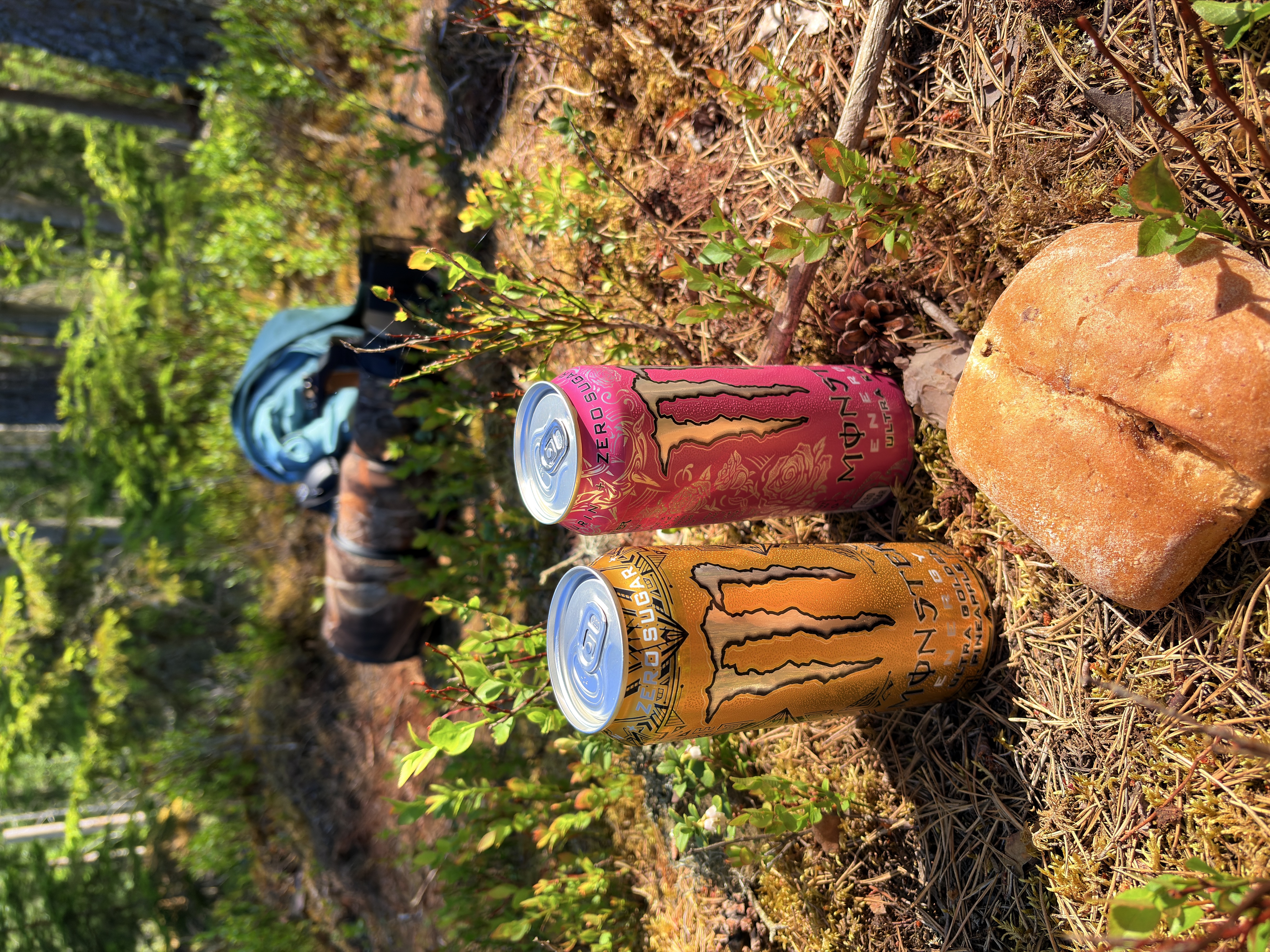 Bild ohne Beschreibung Bild ohne Beschreibung