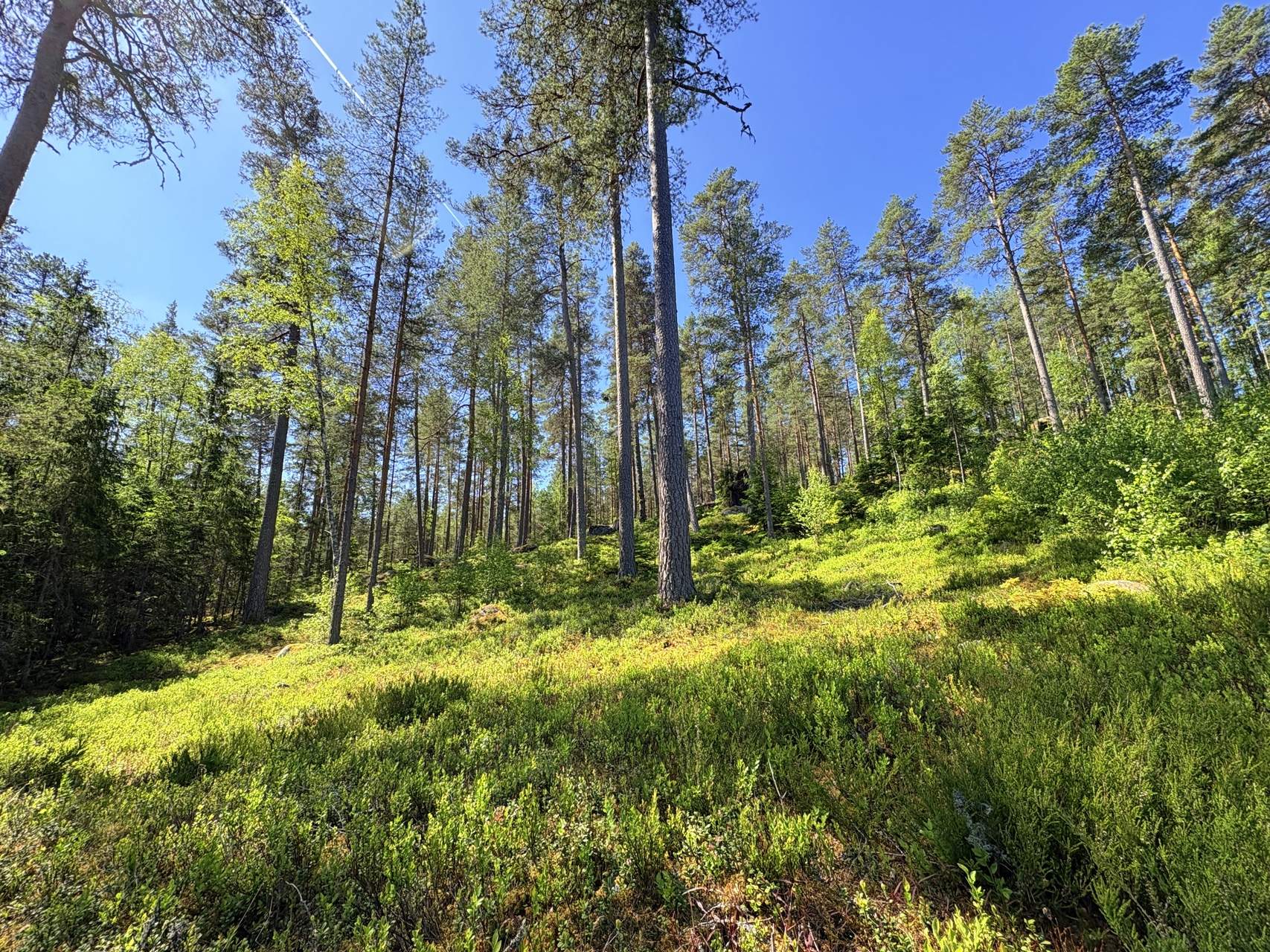 Bild ohne Beschreibung