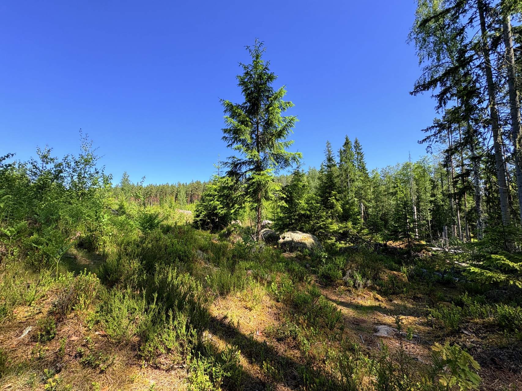 Bild ohne Beschreibung