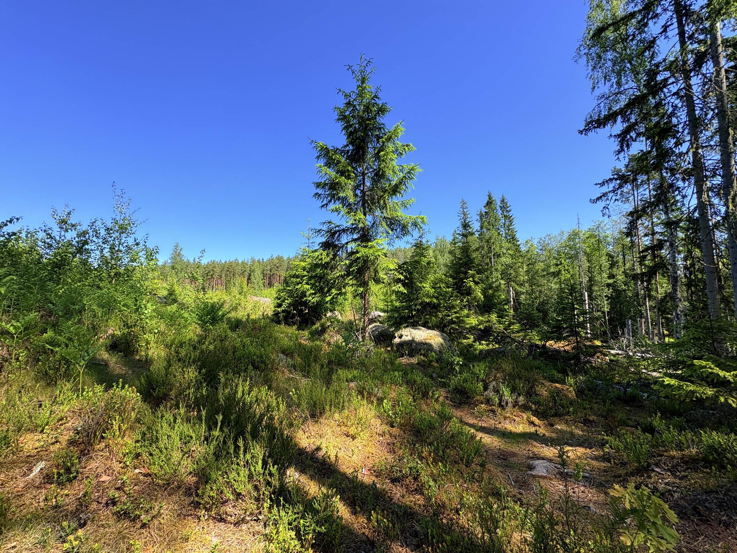 Bild ohne Beschreibung Bild ohne Beschreibung