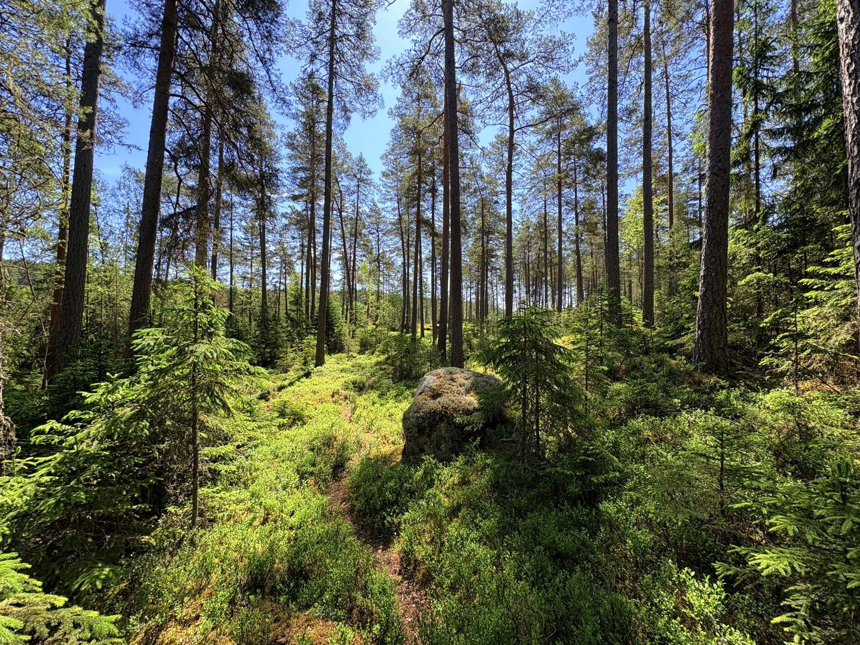 Bild ohne Beschreibung