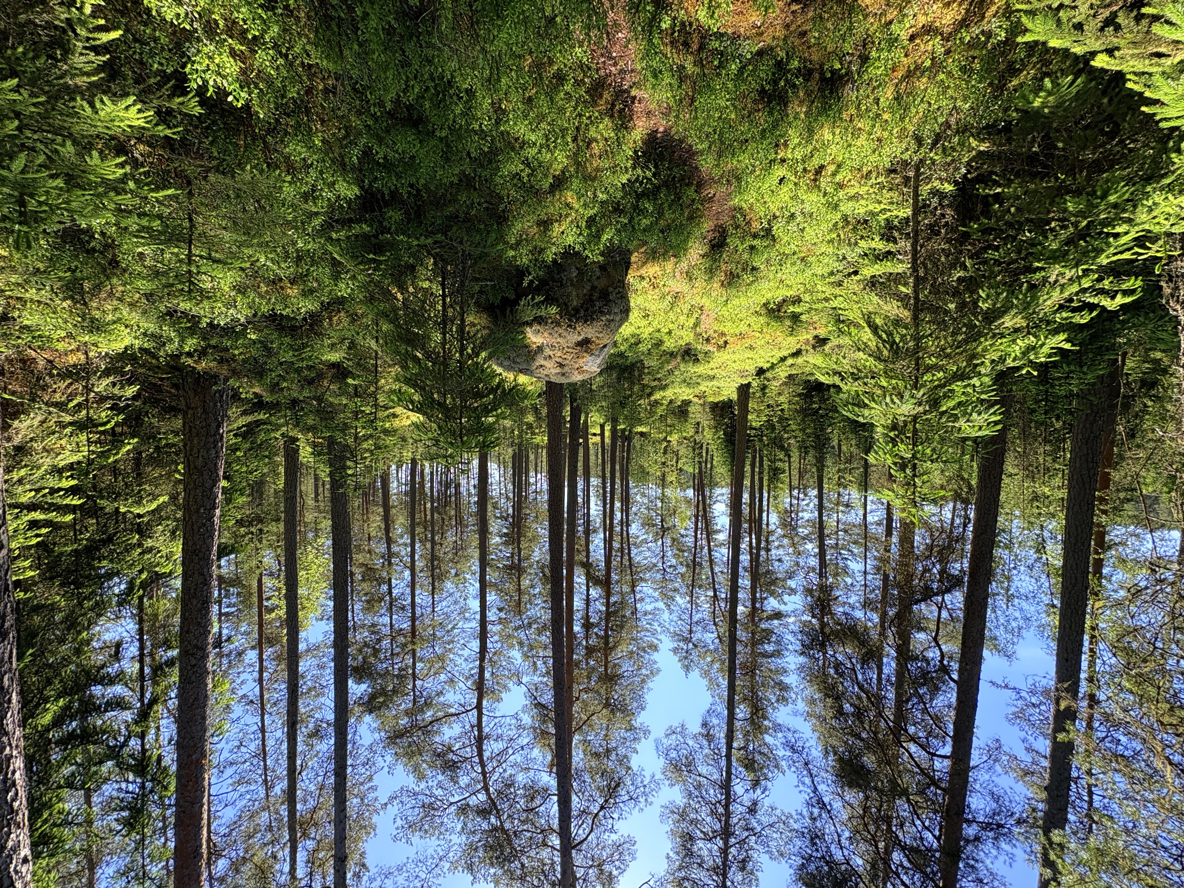 Bild ohne Beschreibung Bild ohne Beschreibung